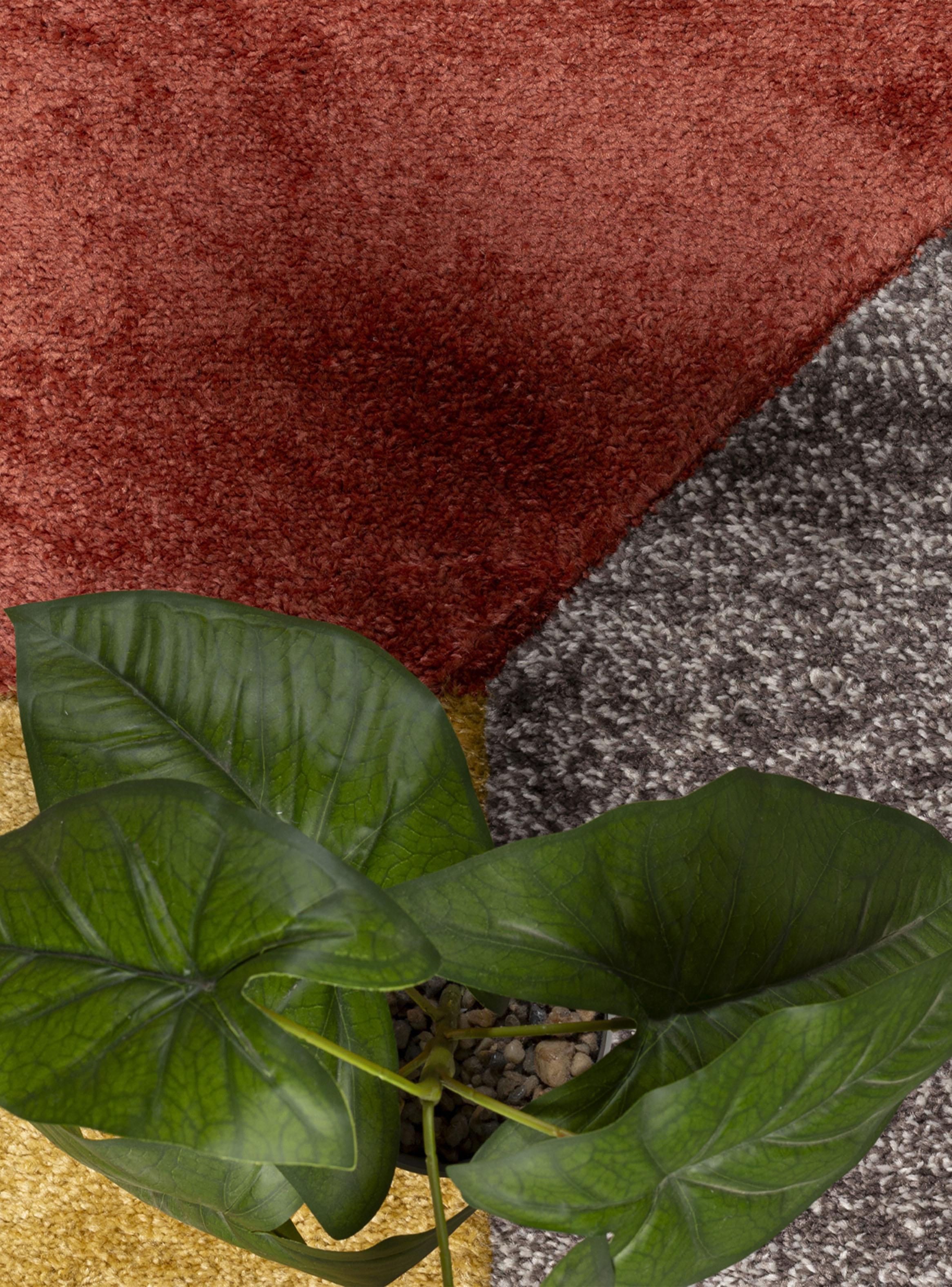 Alfombra Orleans 160x230 cm E0899 DBG-2