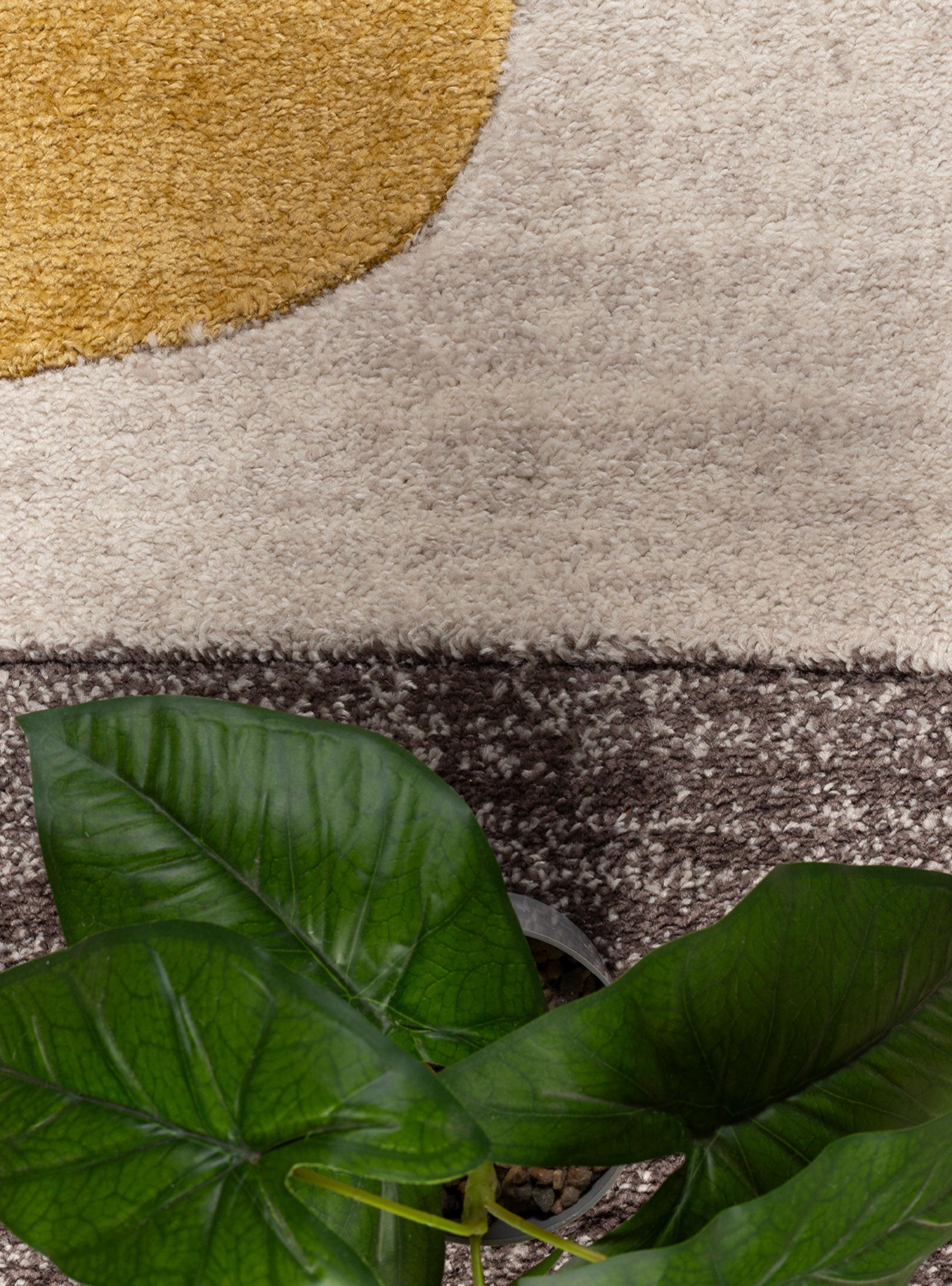 Alfombra Orleans 160x230 cm E0900 BRC-2