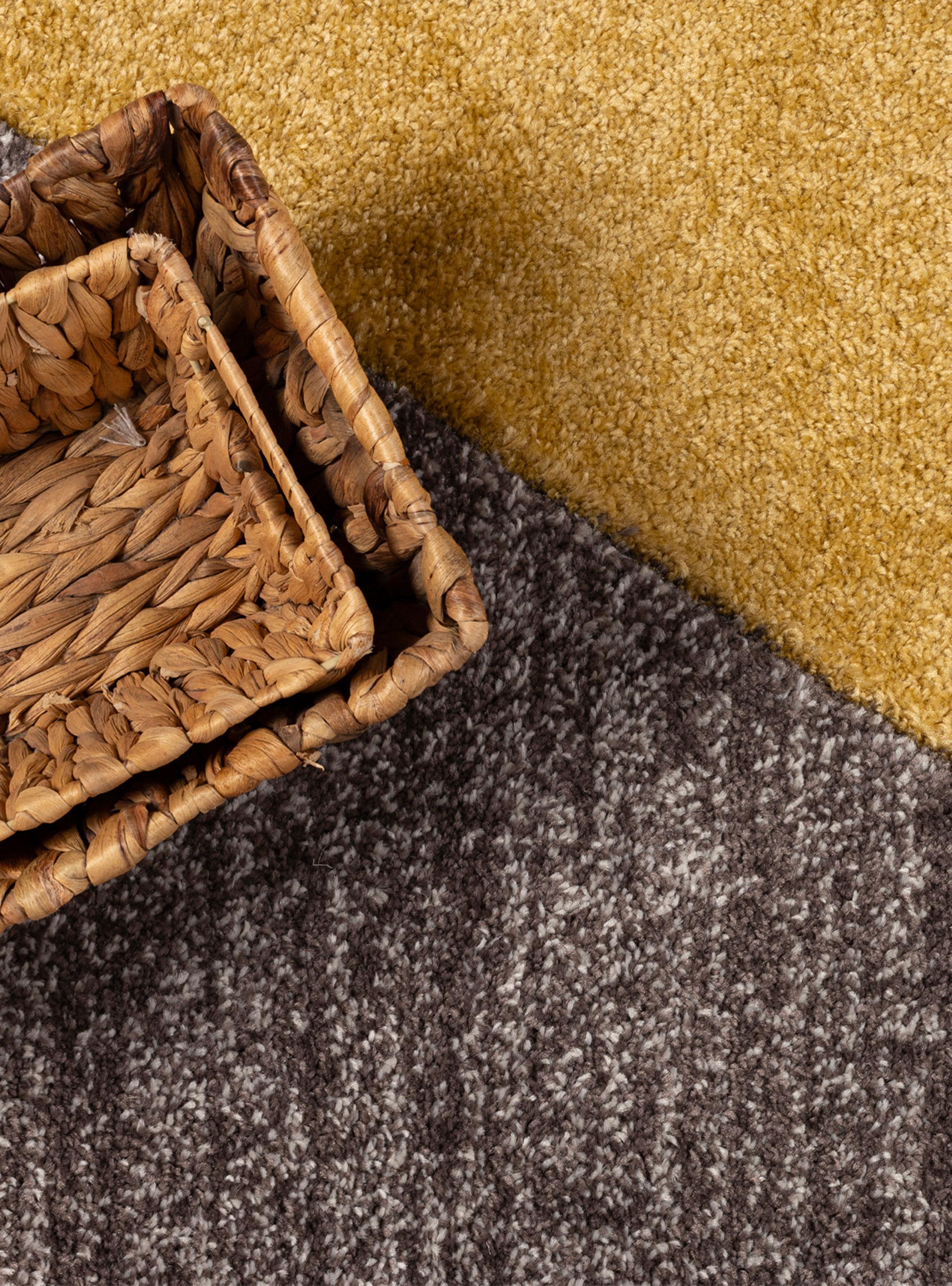 Alfombra Orleans 160x230 cm E0901 TCR-2