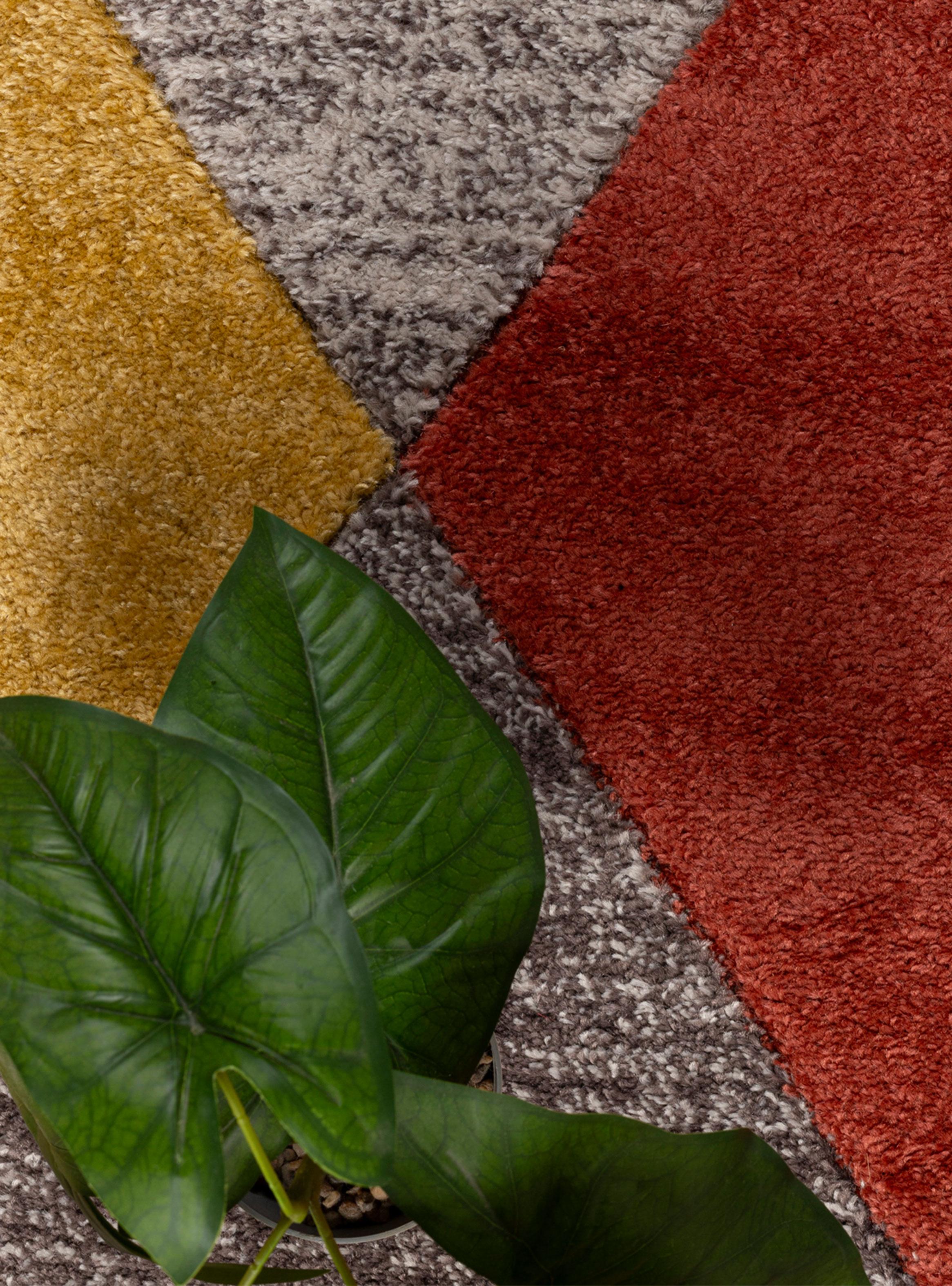 Alfombra Orleans 160x230 cm E0901 TGL-2