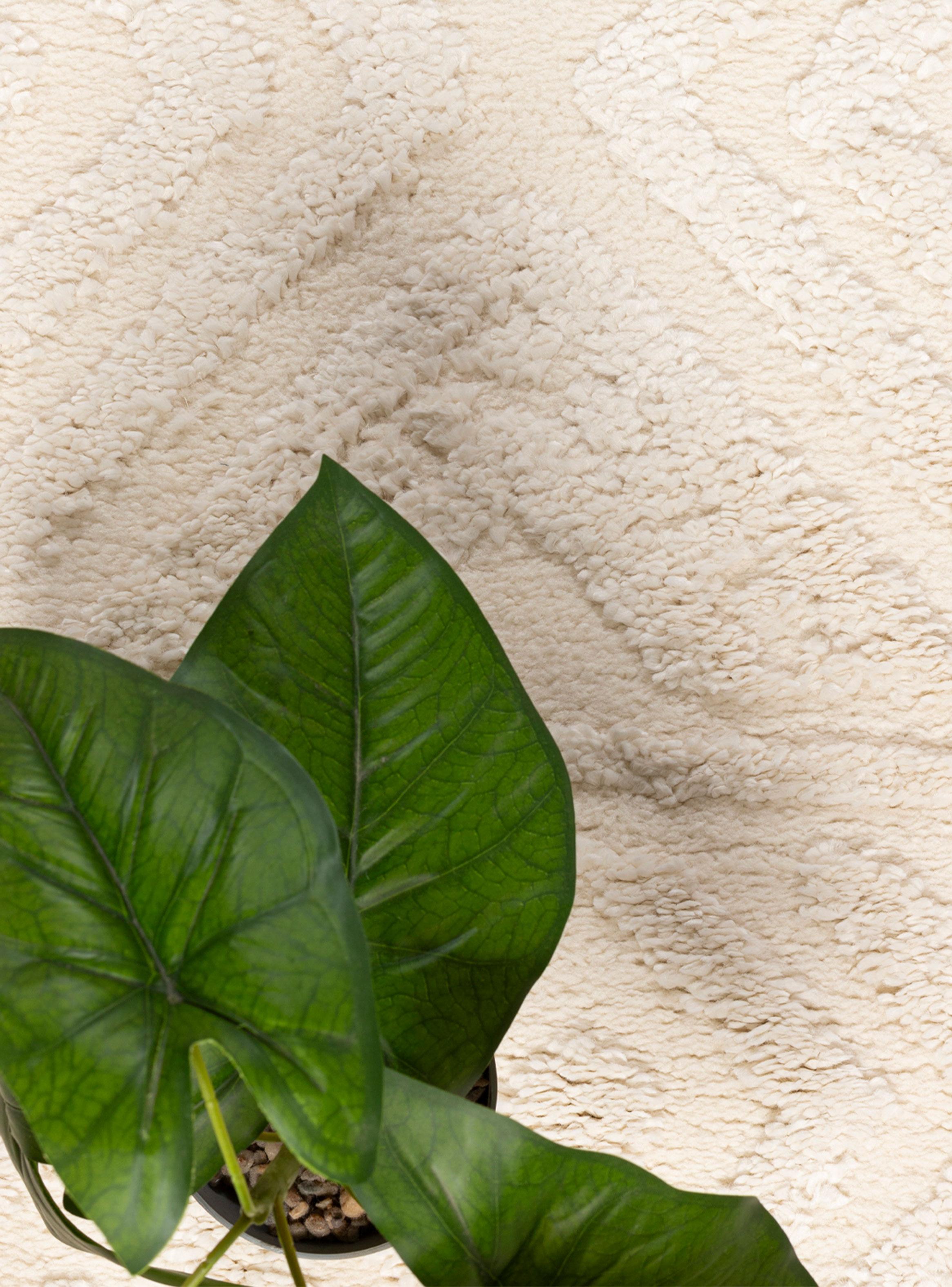 Alfombra Otawa 160x230 cm C801A Cream-2