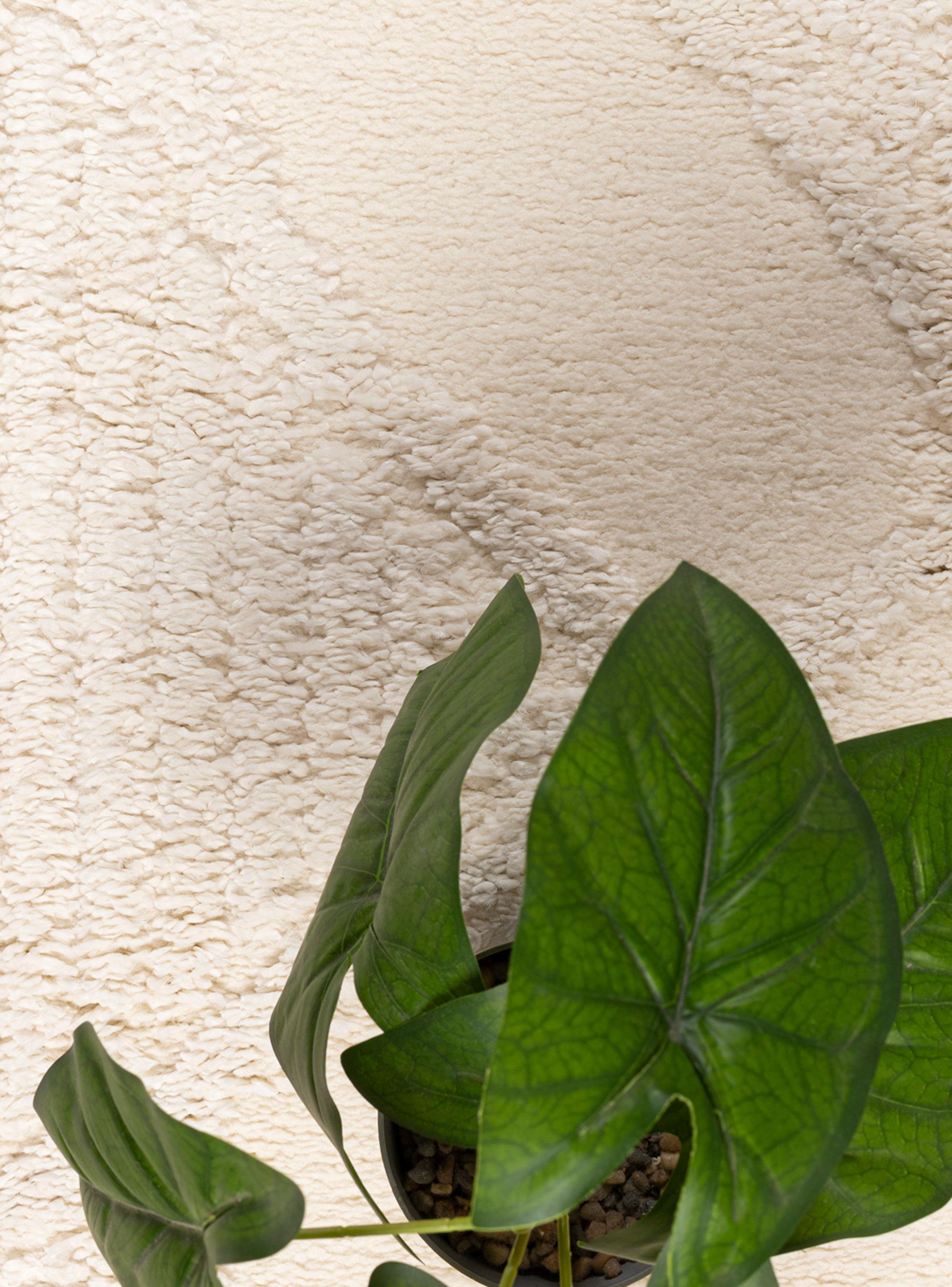 Alfombra Otawa 200x290 cm B596A Cream-2