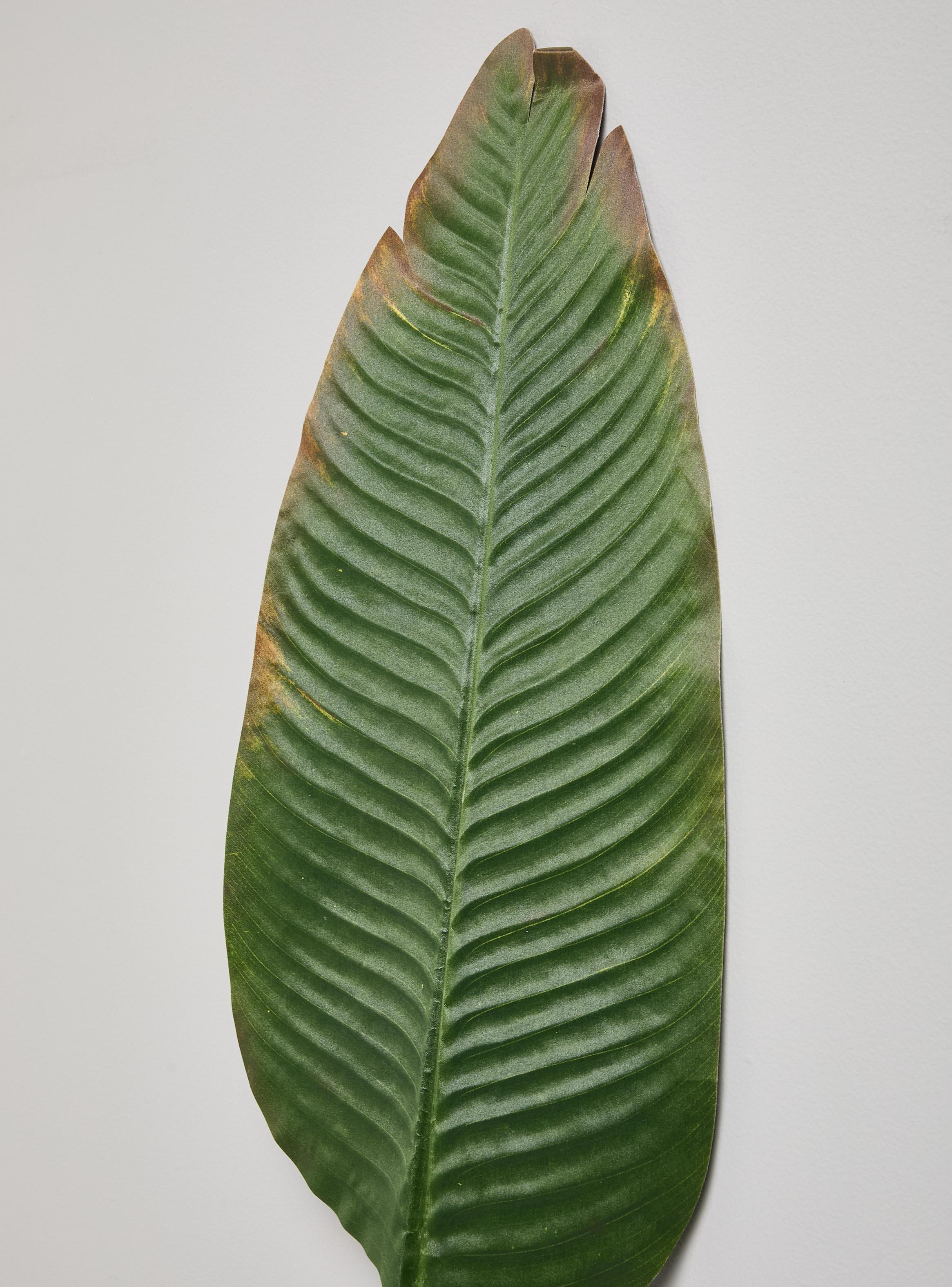 Hoja dee Banana Decorativa 120 cm-2