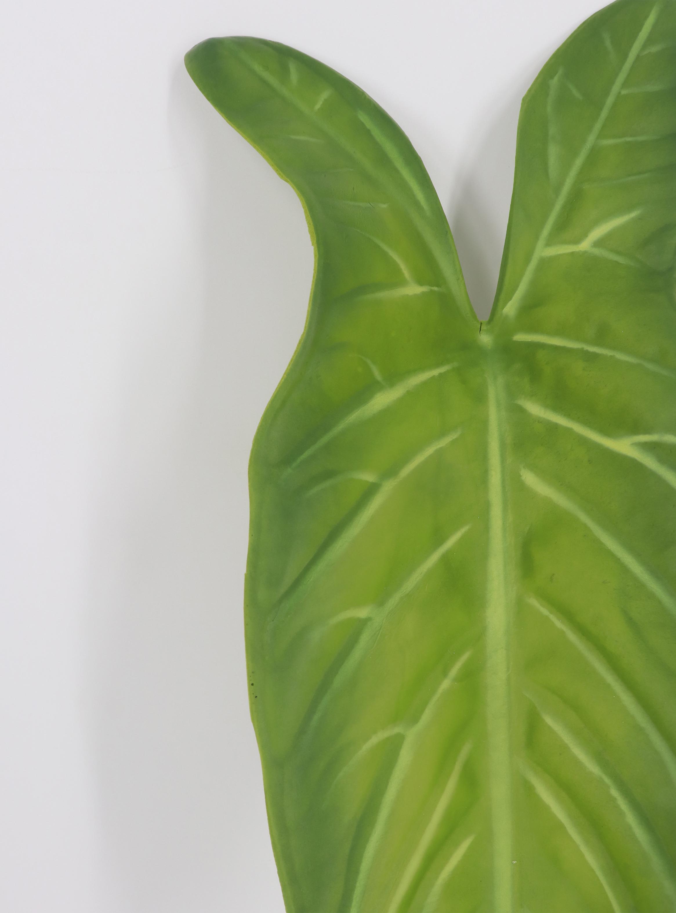 Hoja de Taro 68 cm-2