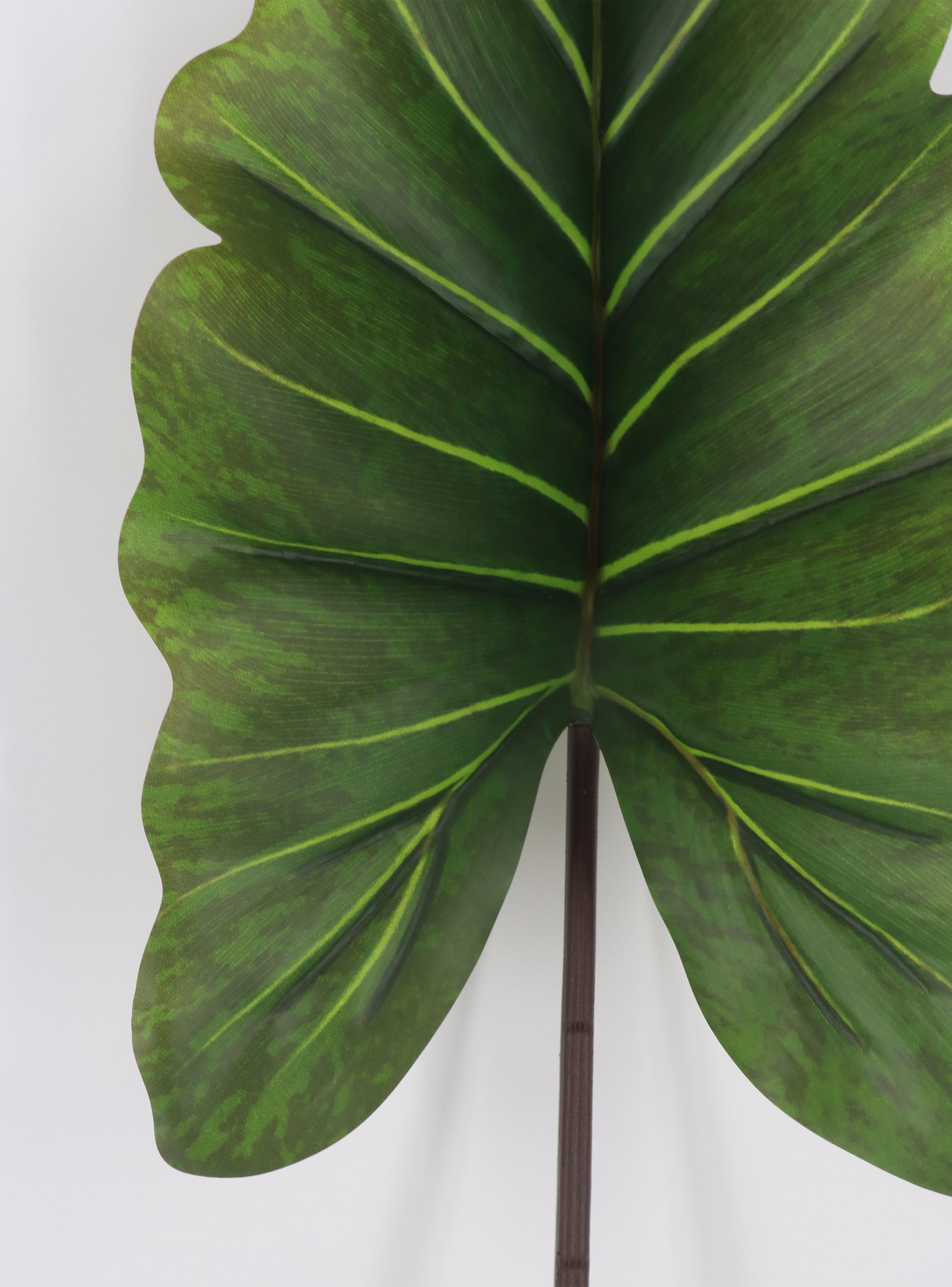 Hoja de Taro 114 cm-2