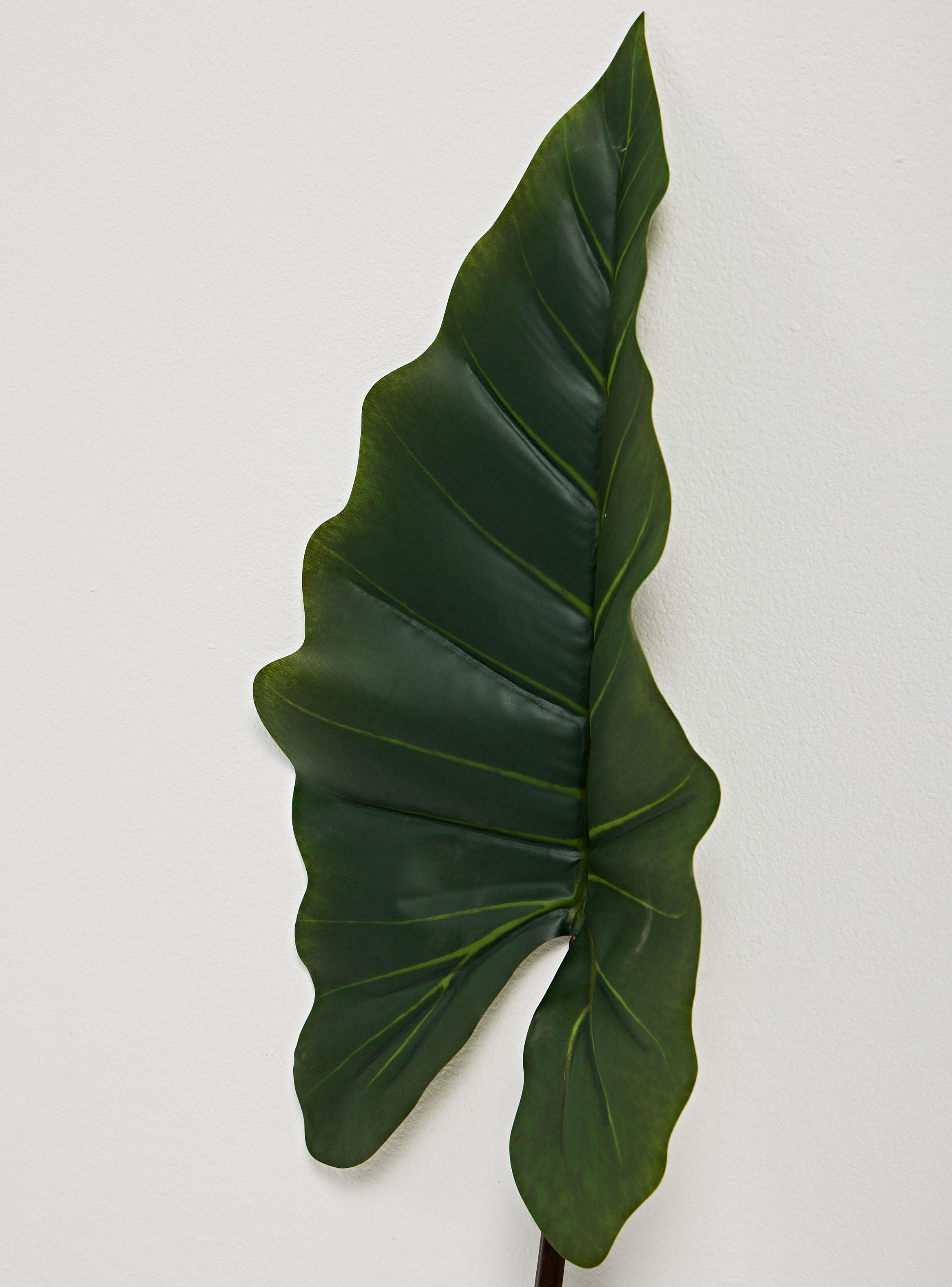 Hoja de Taro 114 cm-2
