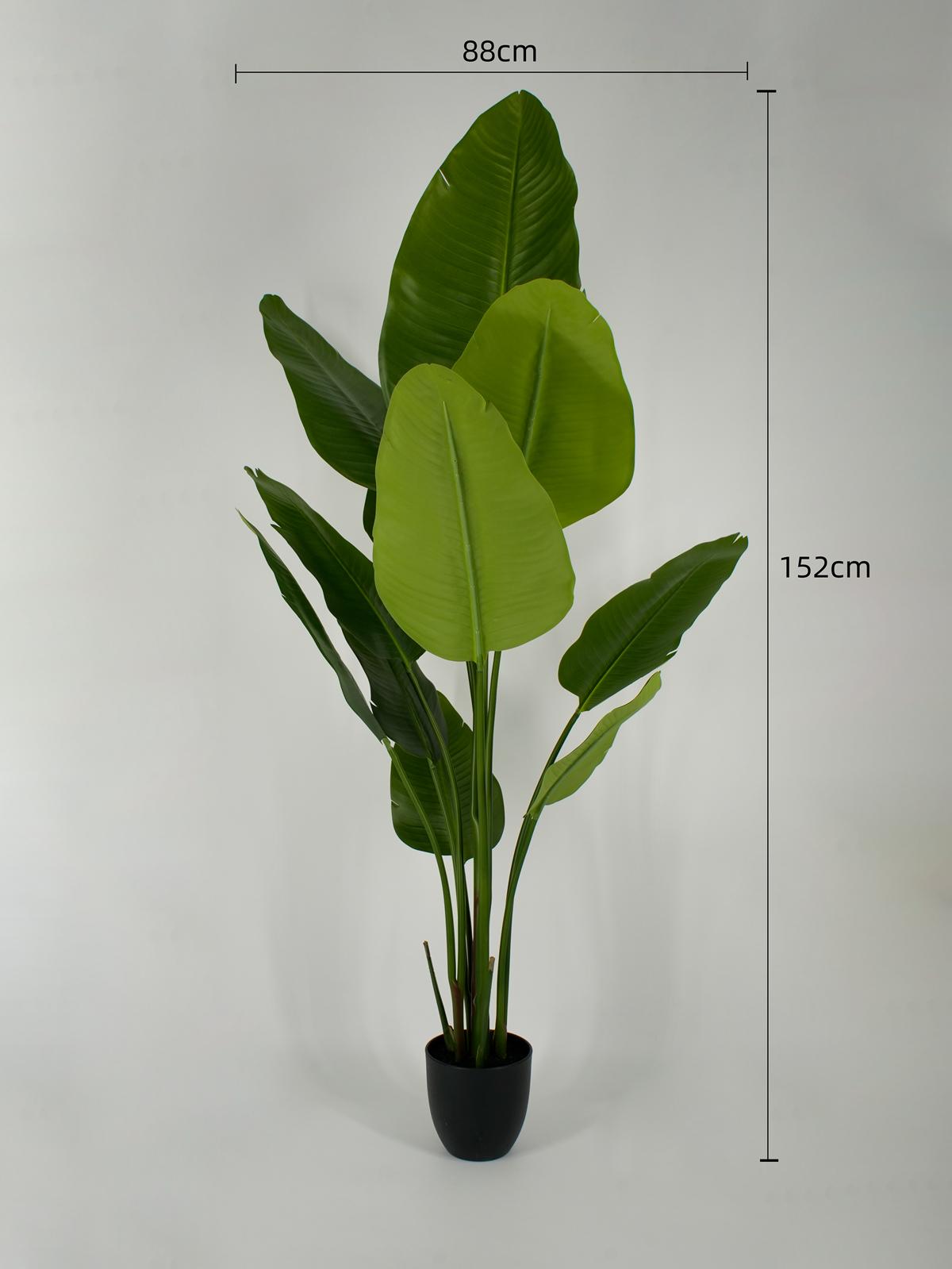 Planta Decorativa Banana 156 cm-3