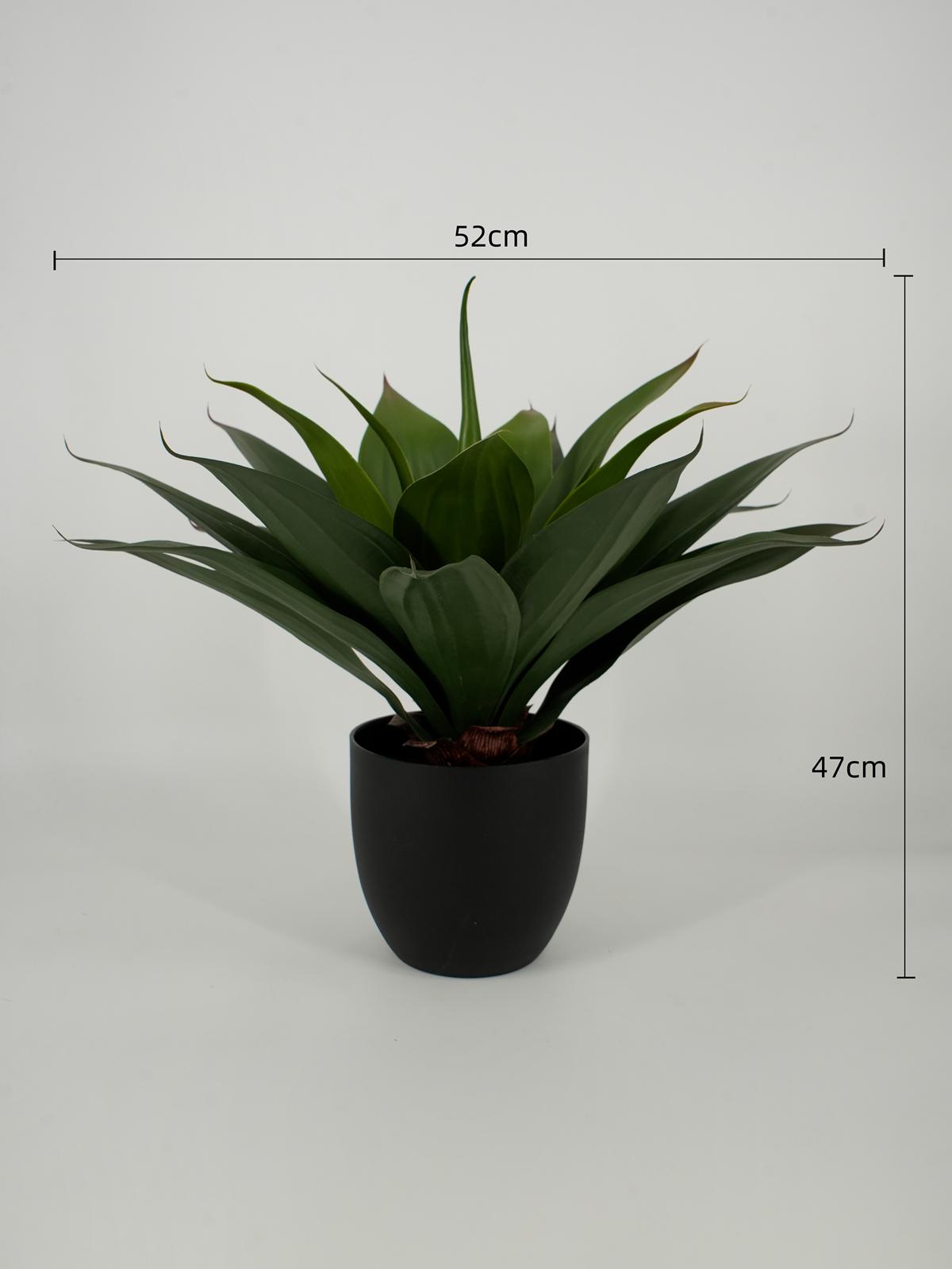 Planta Decorativa Agave 48 cm-3
