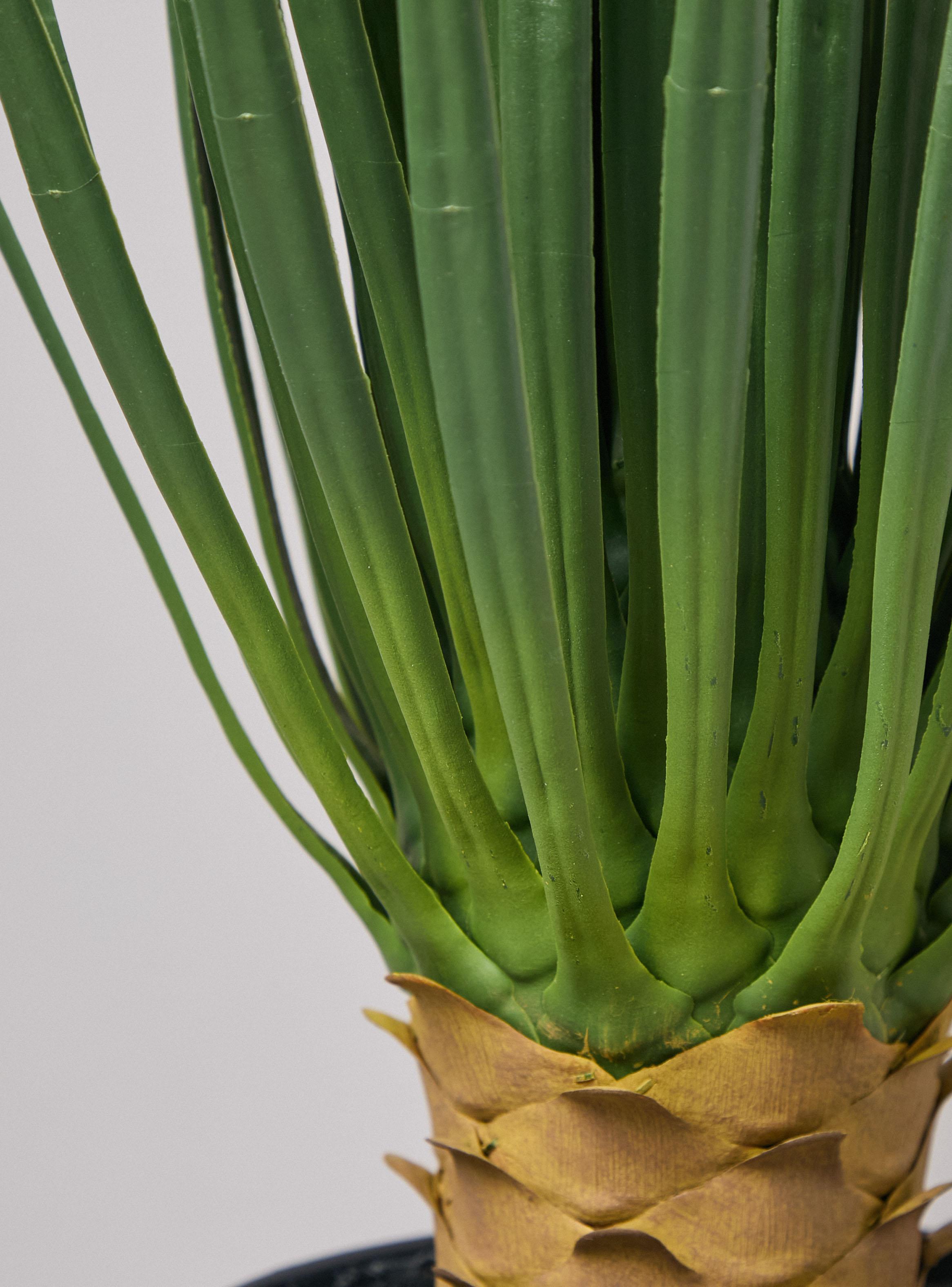 Planta Decorativa Dracena 63 cm-2