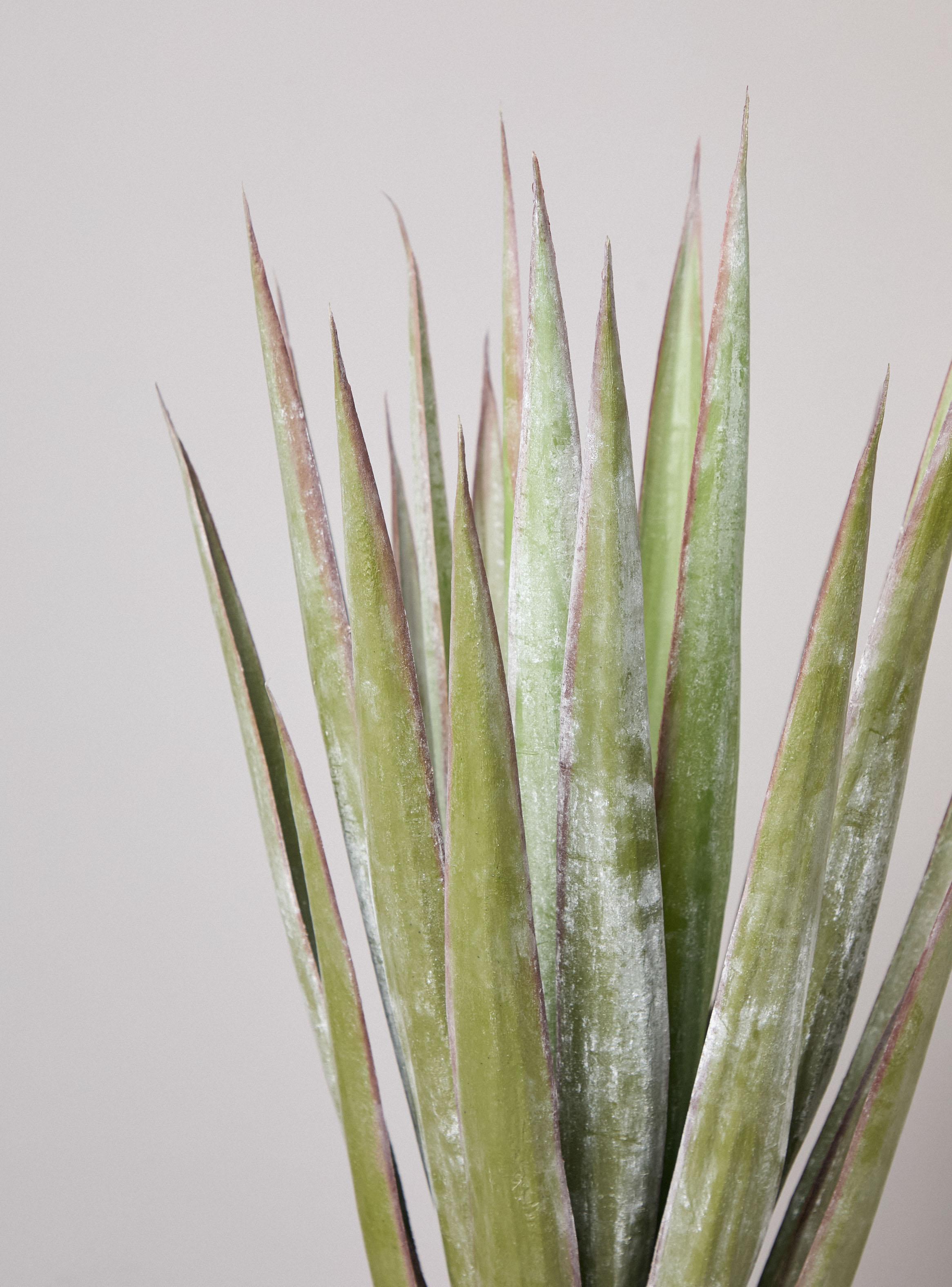 Planta Decorativa Agave 78 cm-2