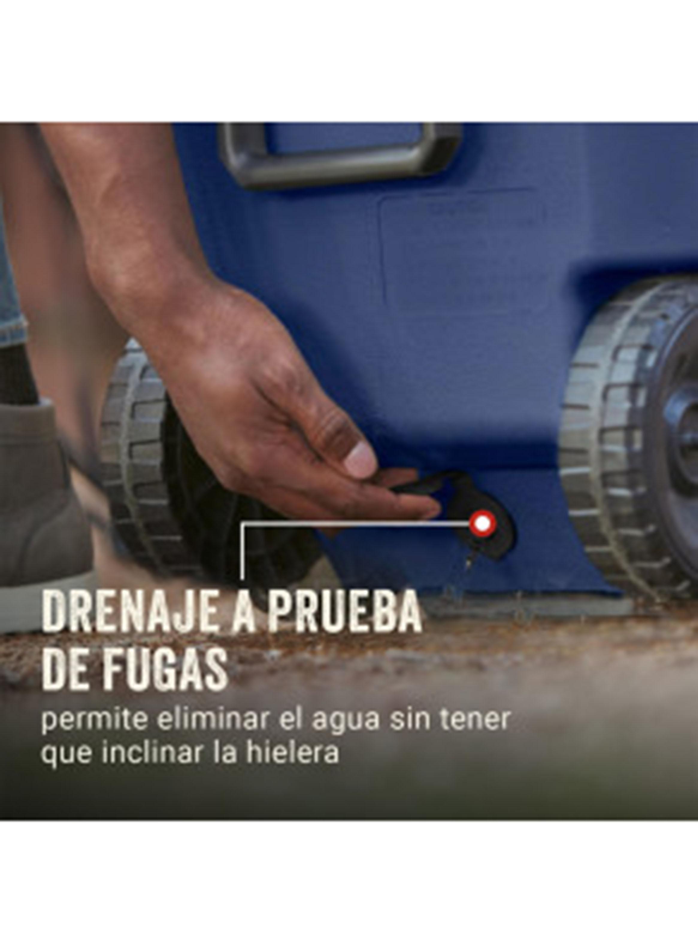 Cooler Serie 316 62QT Azul-3