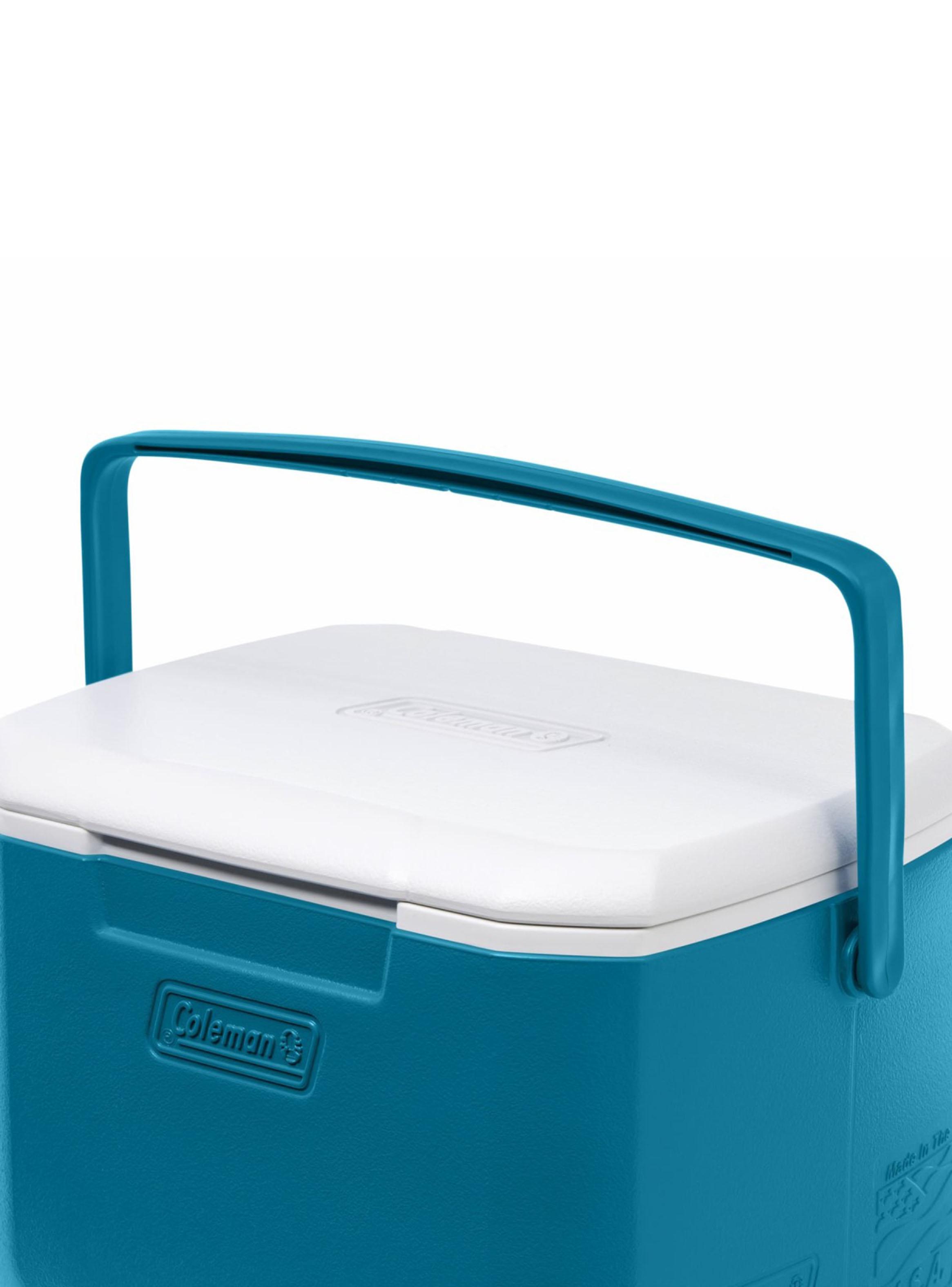 Cooler Chiller 15 Litros Azul-4