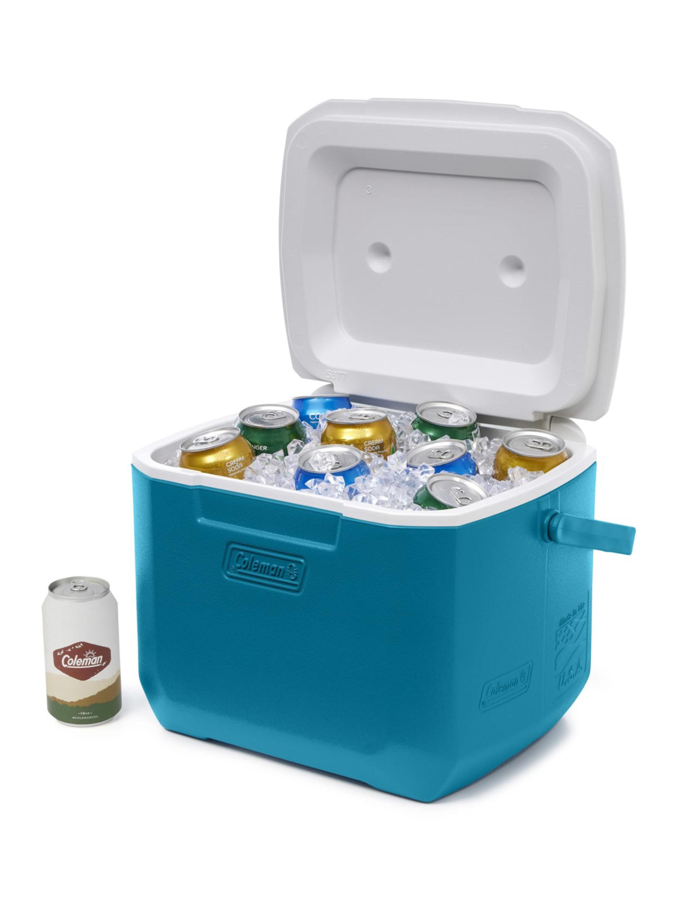 Cooler Chiller 15 Litros Azul-3
