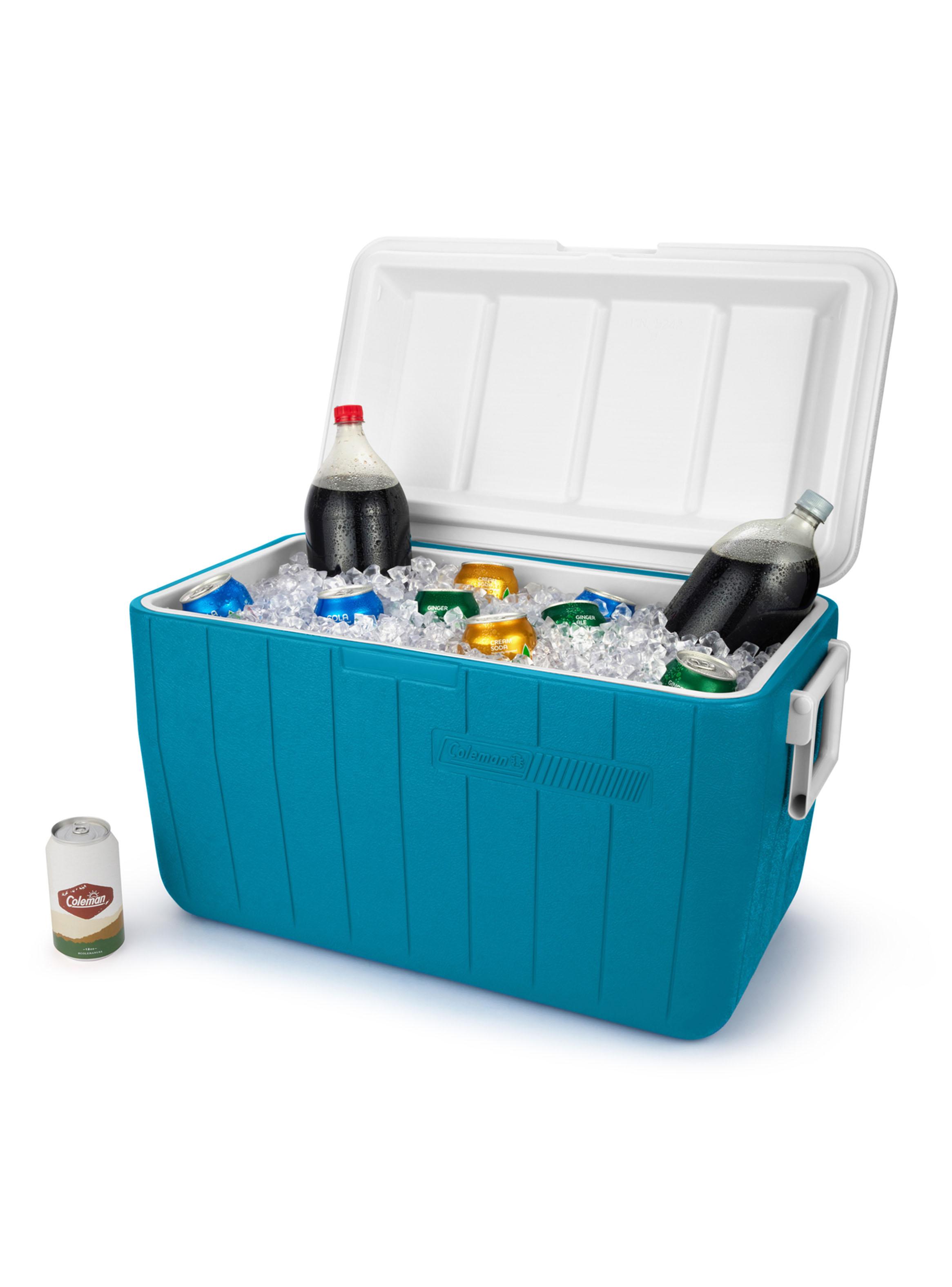 Cooler Chiller 48 Litros Celeste-3