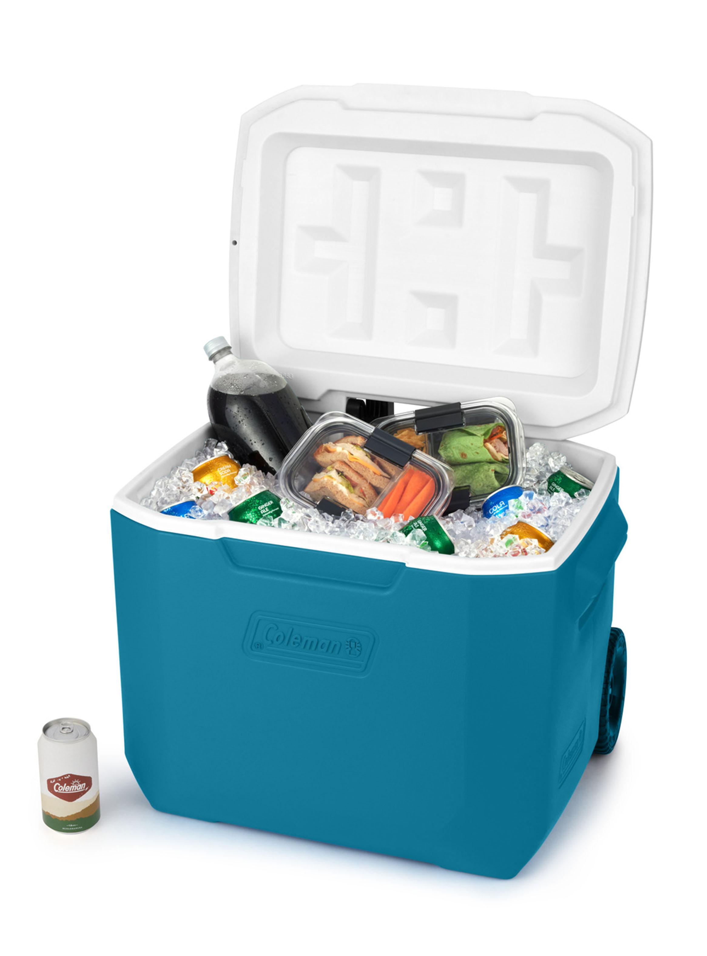 Cooler Chiller 56 Litros Azul-4