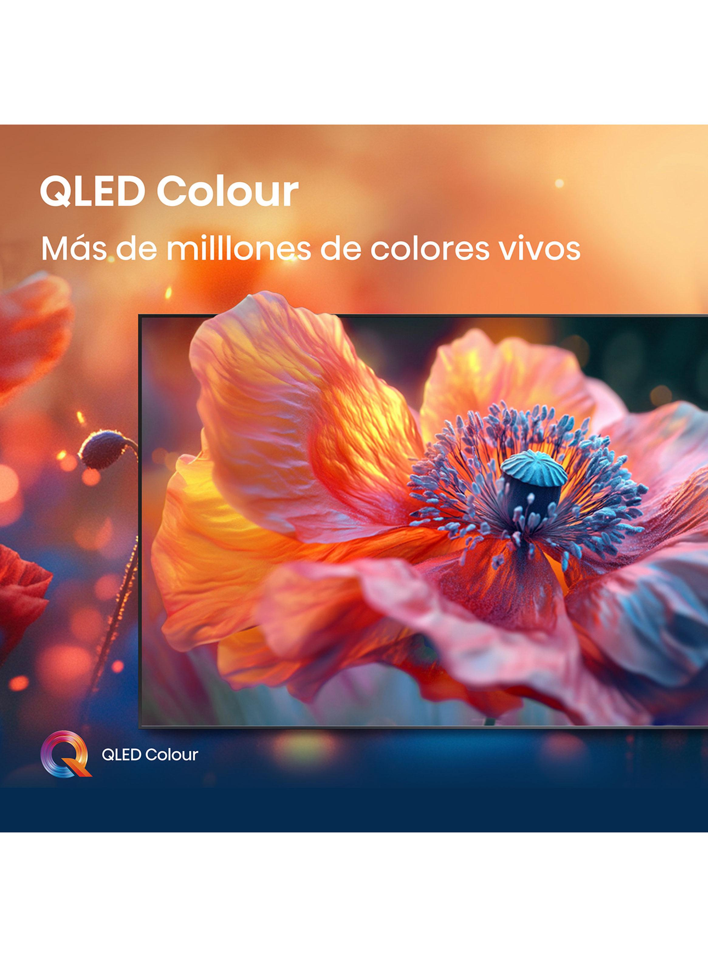 QLED Smart TV 50" 4K UHD 50Q6QV-6