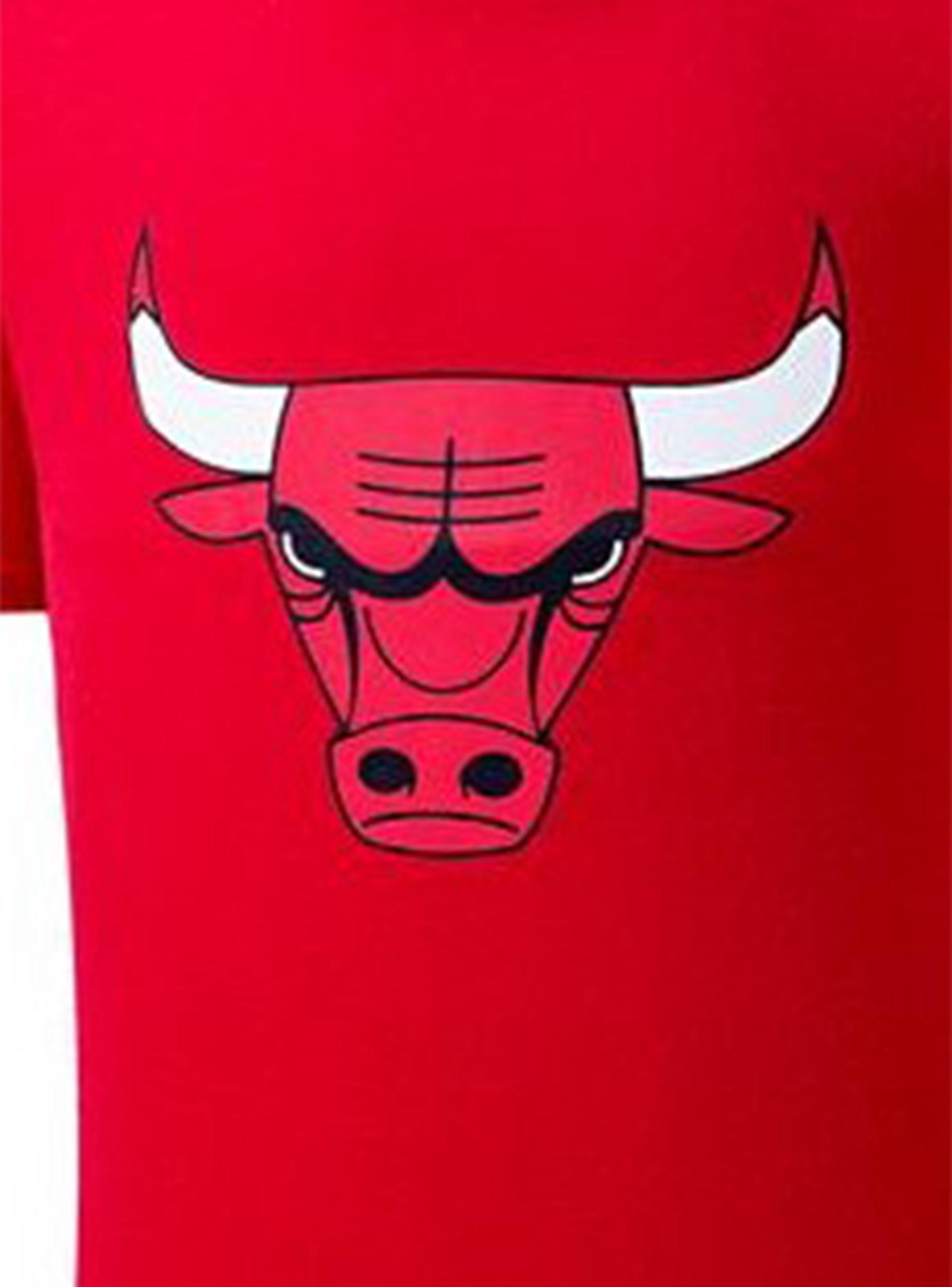 Polera Basic Primary Logo Chicago Bulls Niño-2
