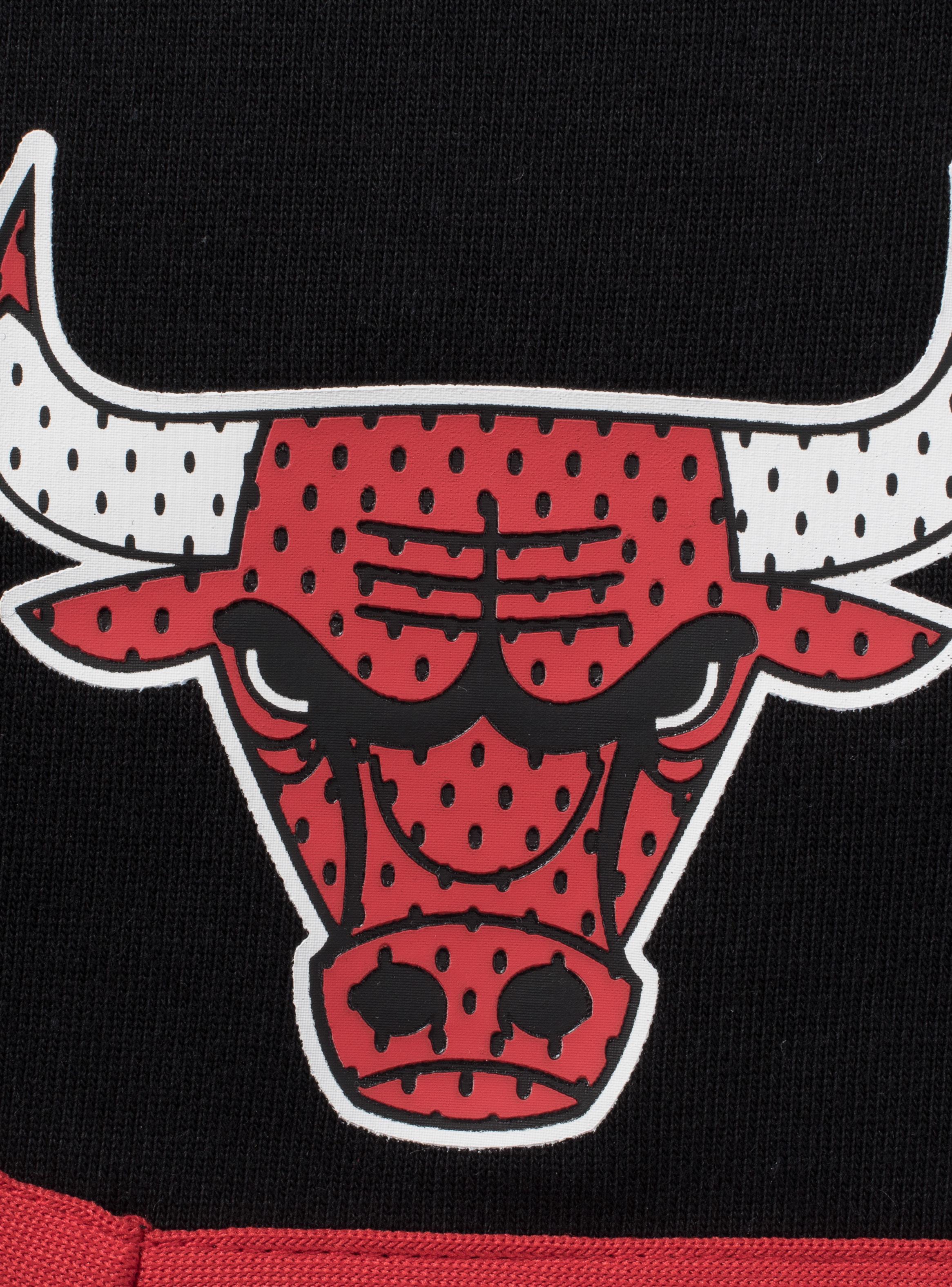 Short Regular Fit con Malla y Logo Lateral Chicago Bulls-2