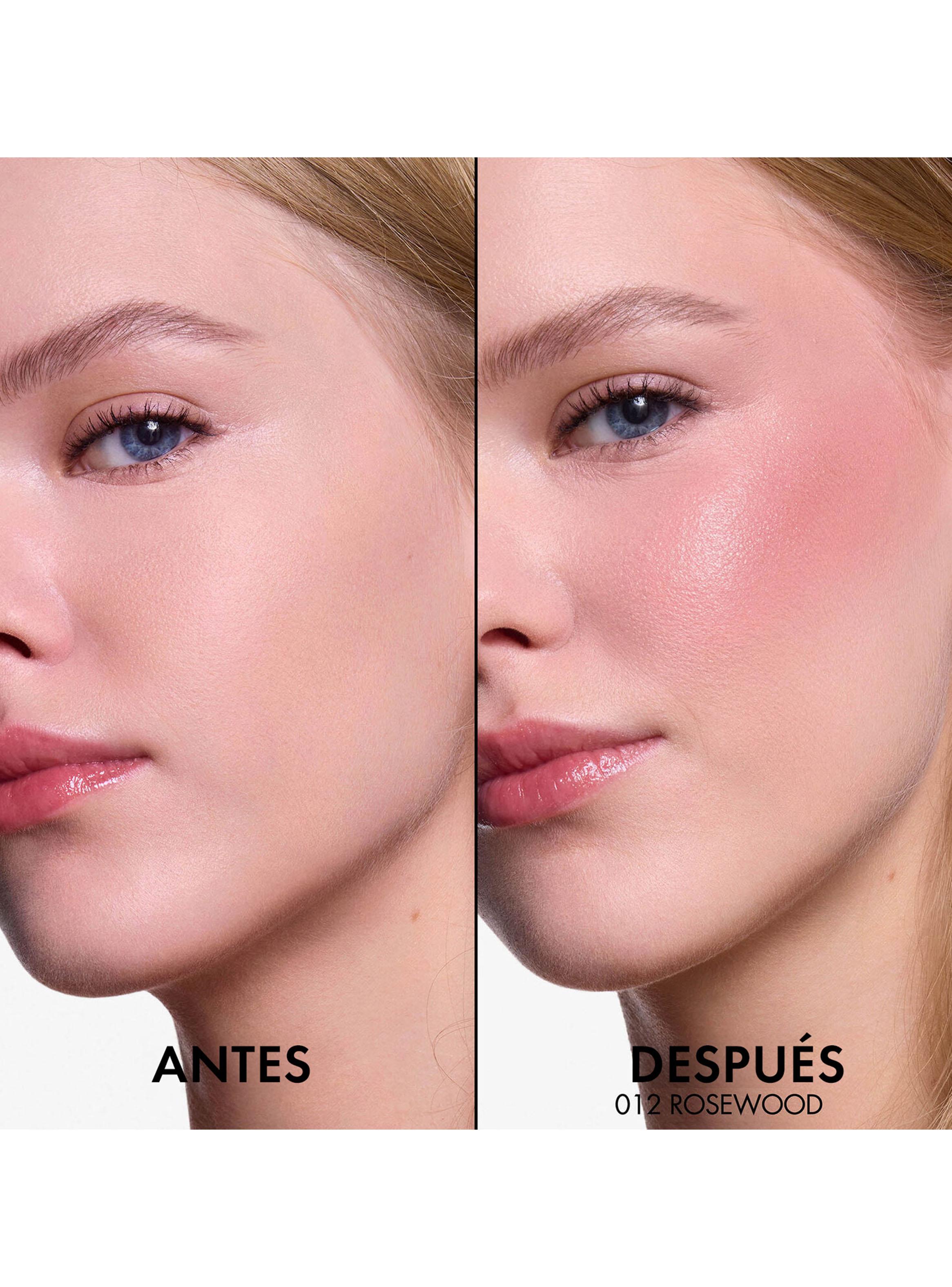 Dior Backstage Rosy Glow Stick Rosewood 6g-3