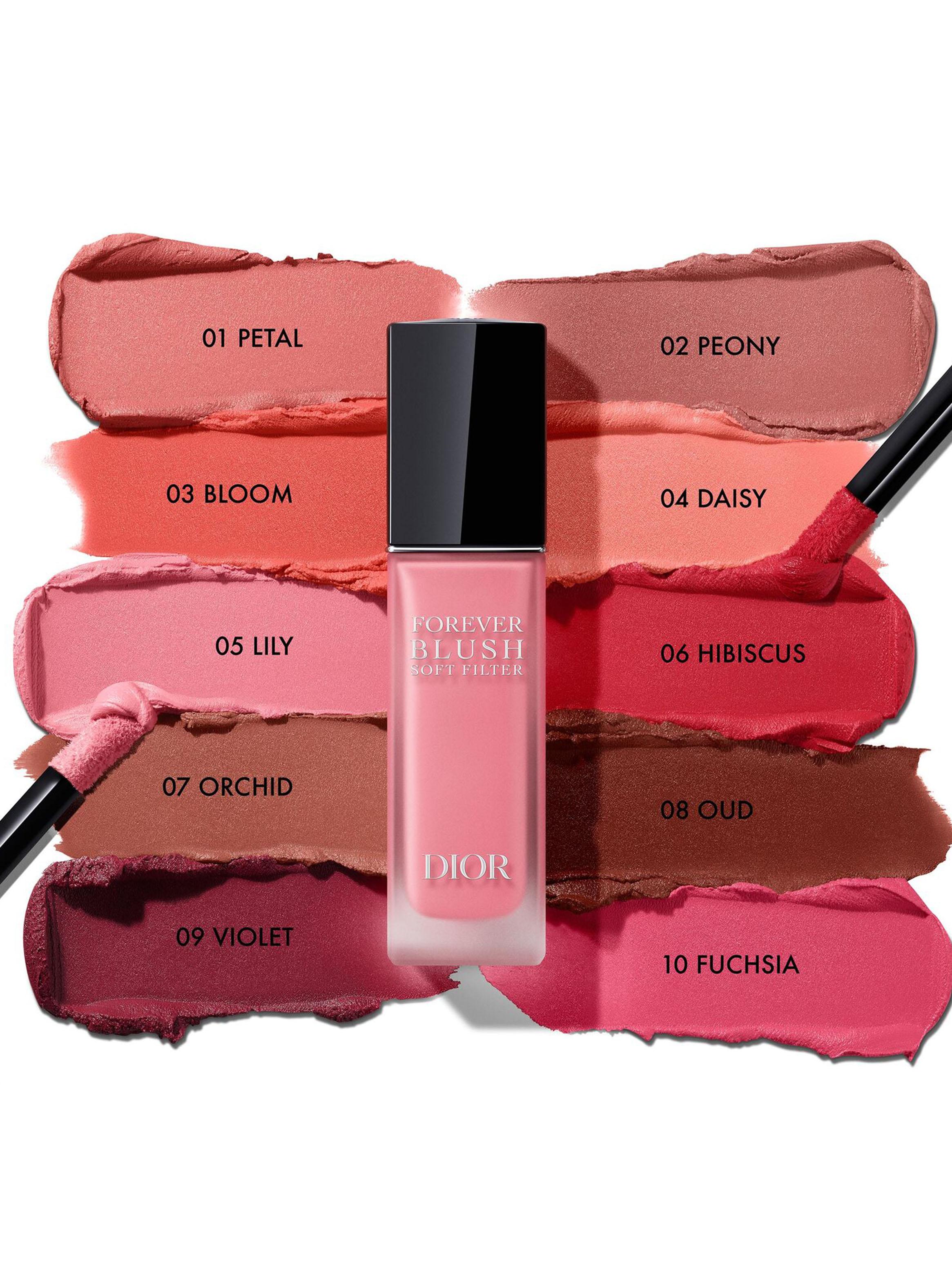 Blush Soft Filter Dior Forever  06 Hibiscus-4