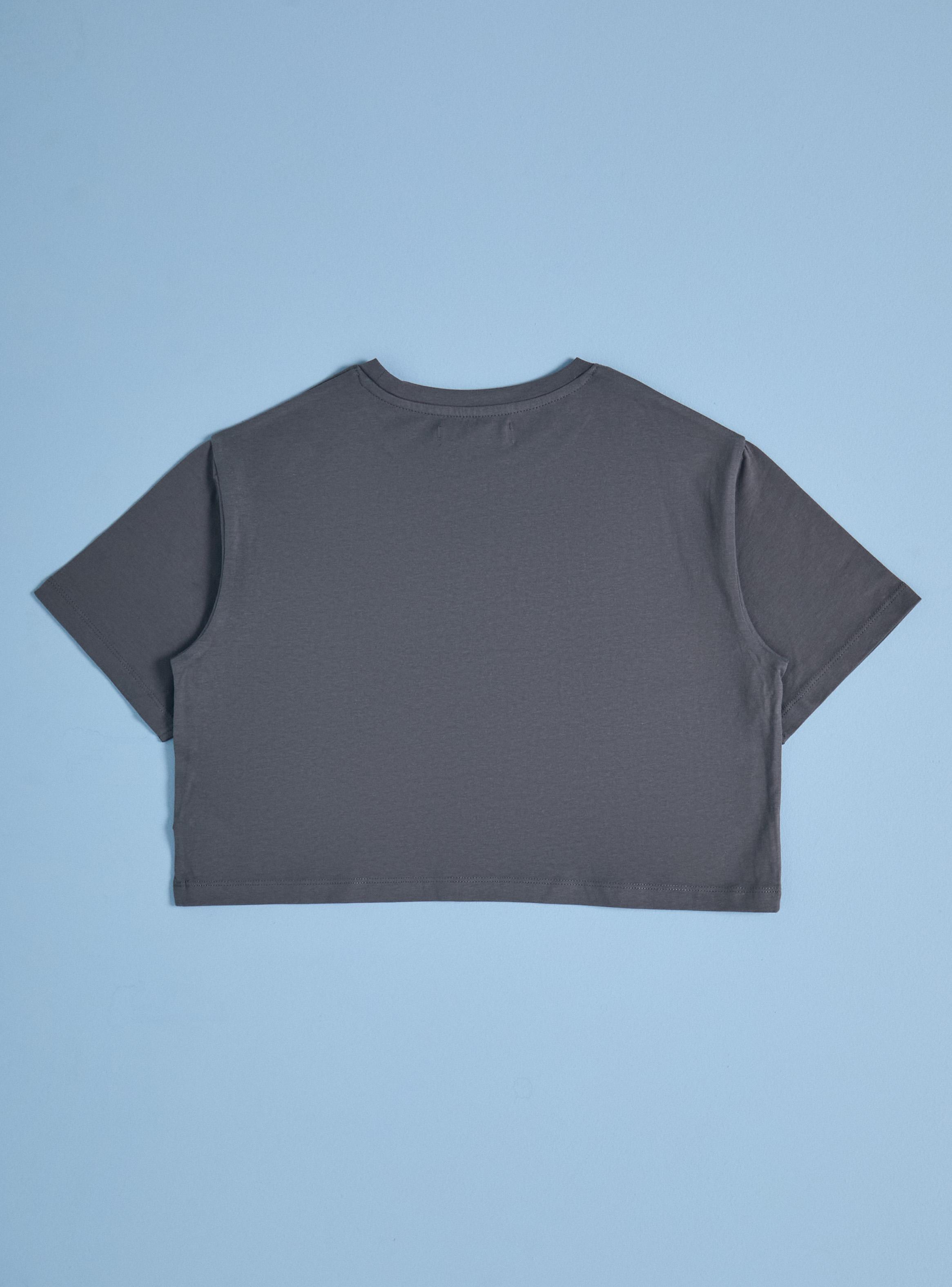 Polera Boxy Estampado Frontal-2