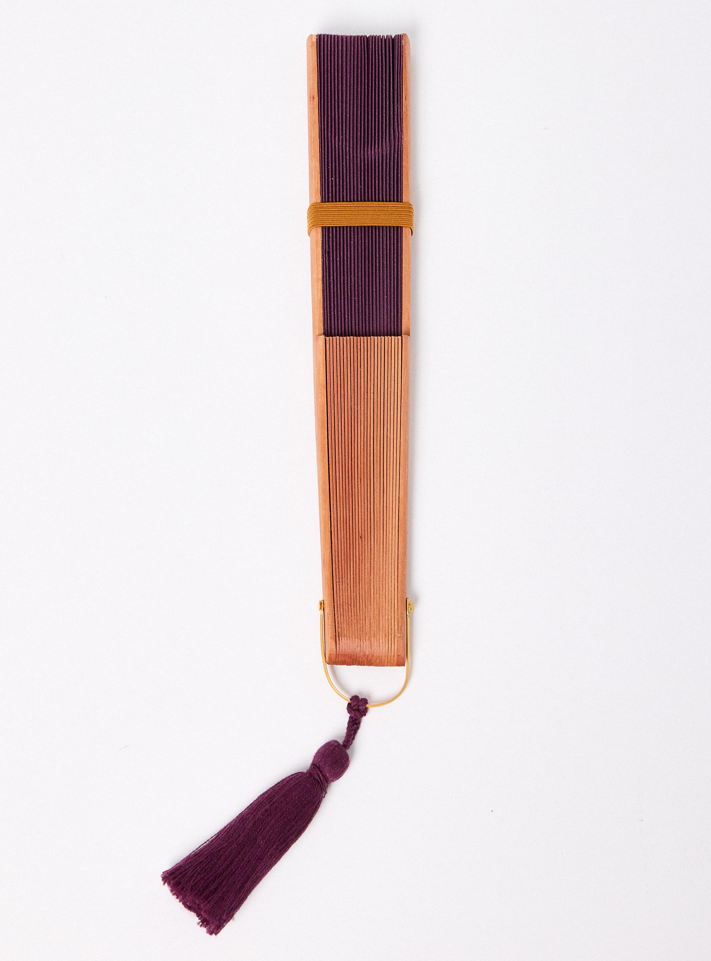 Set de Accesorios Abanico Color 2 Piezas-2