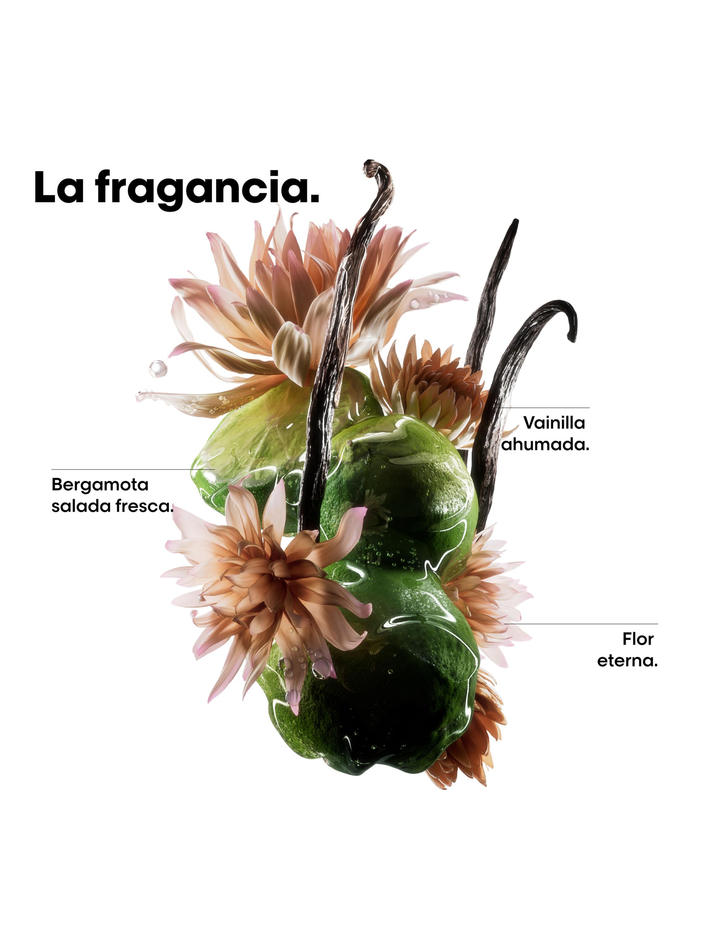 Mini Set Reparación Molecular Shampoo + Sérum ARM-4