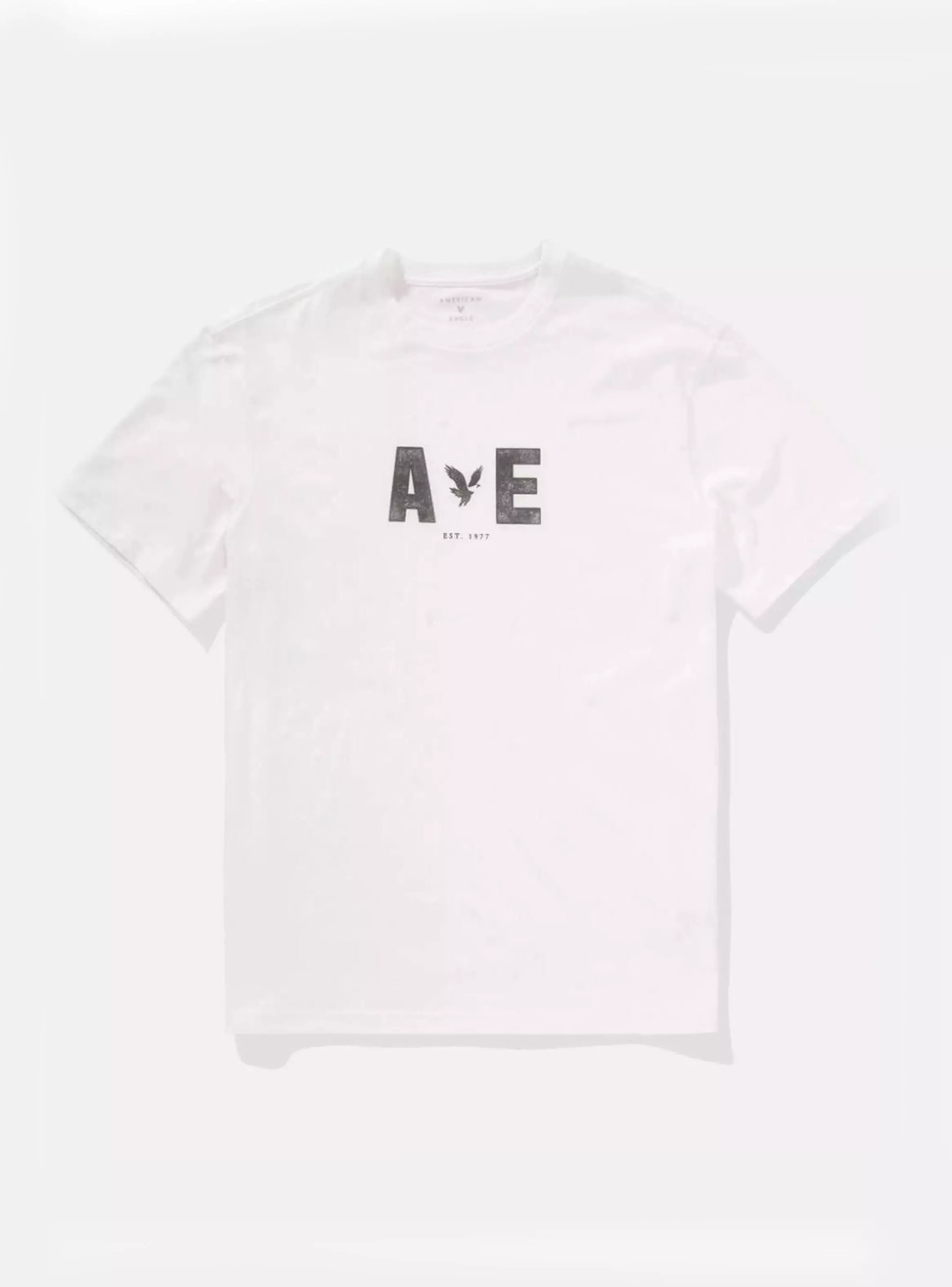 Polera Recta AE Manga Corta-2