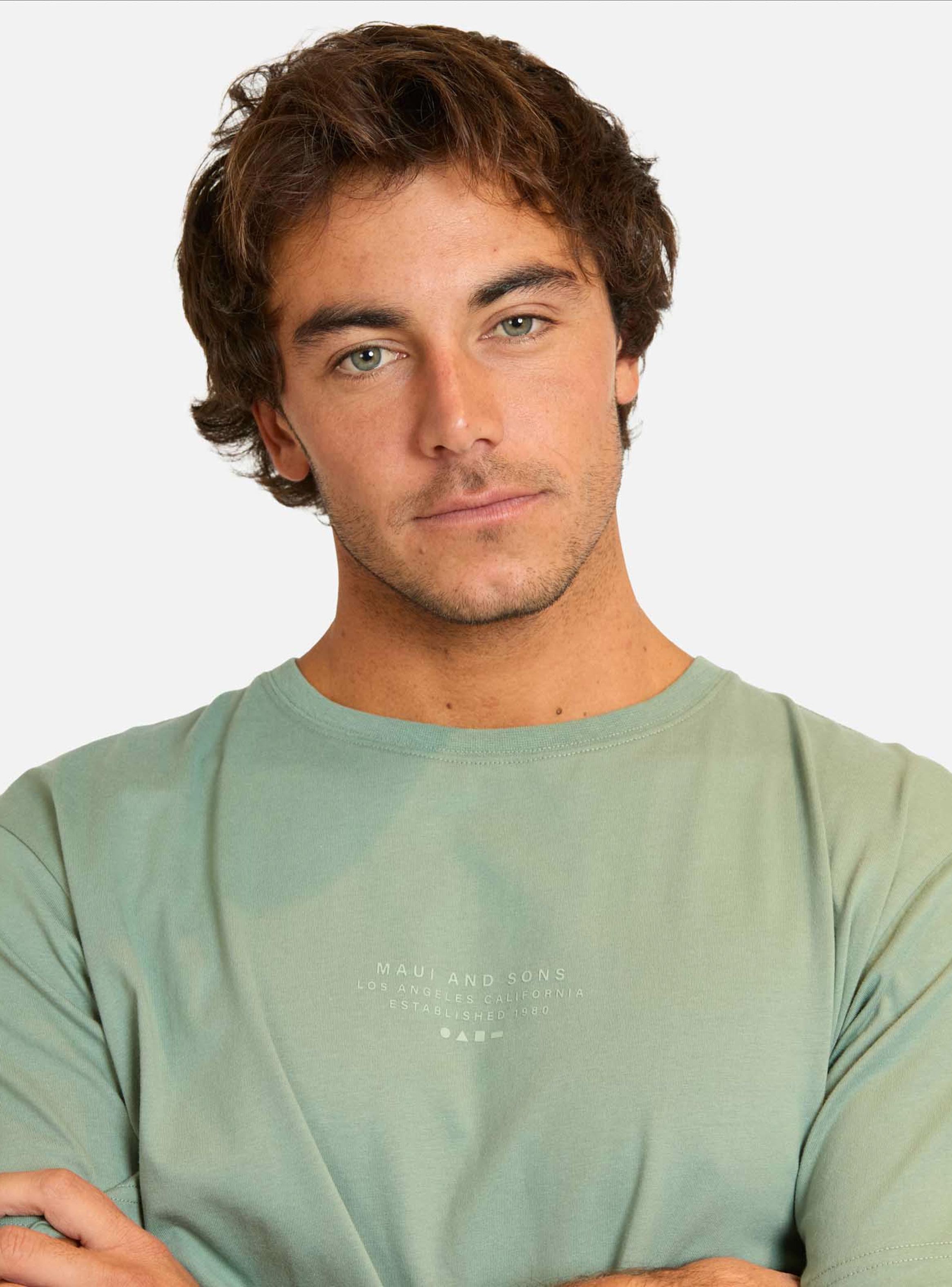 Polera Lisa Bassic-2