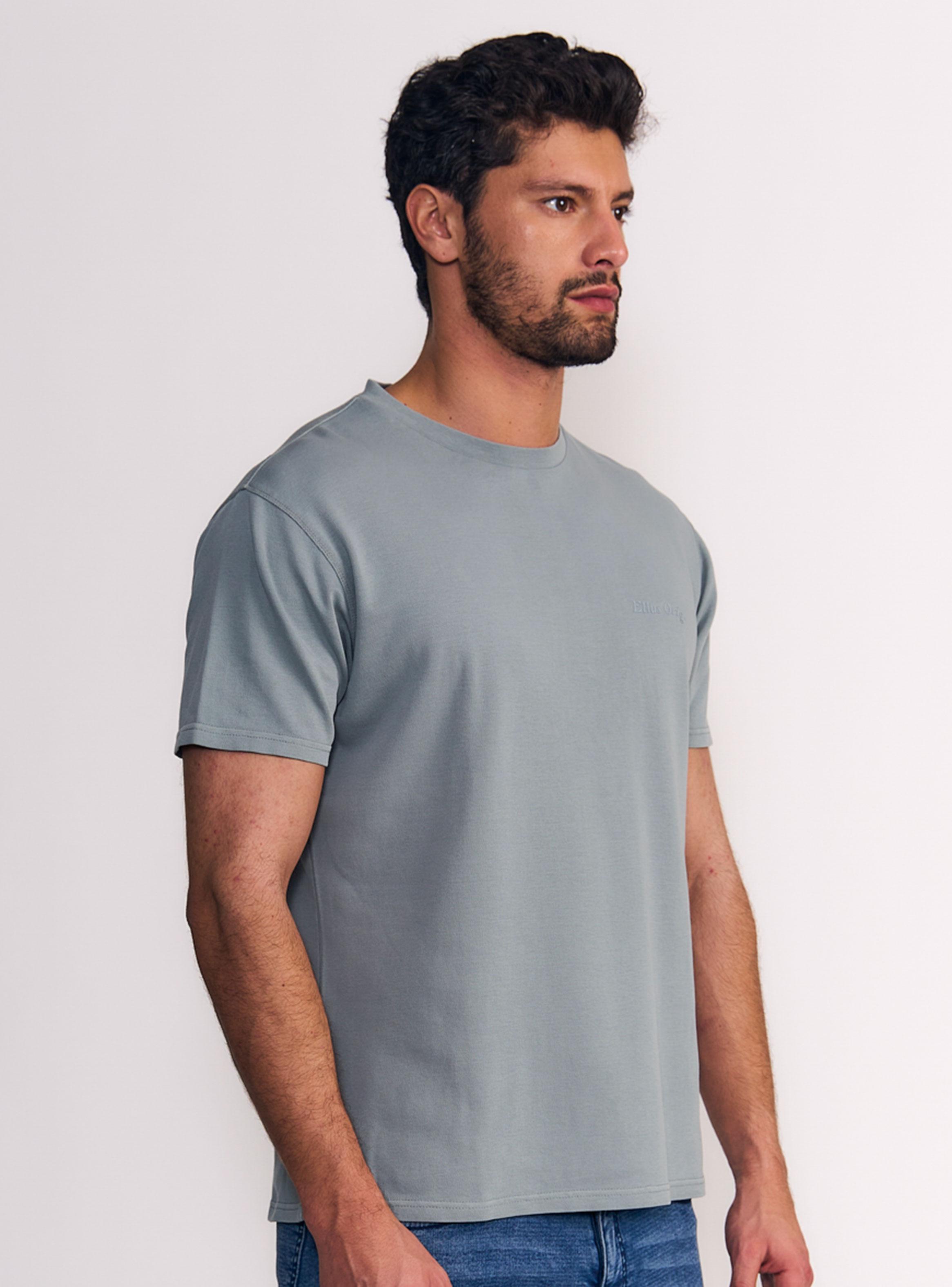 Polera Regular Fit Lisa-2