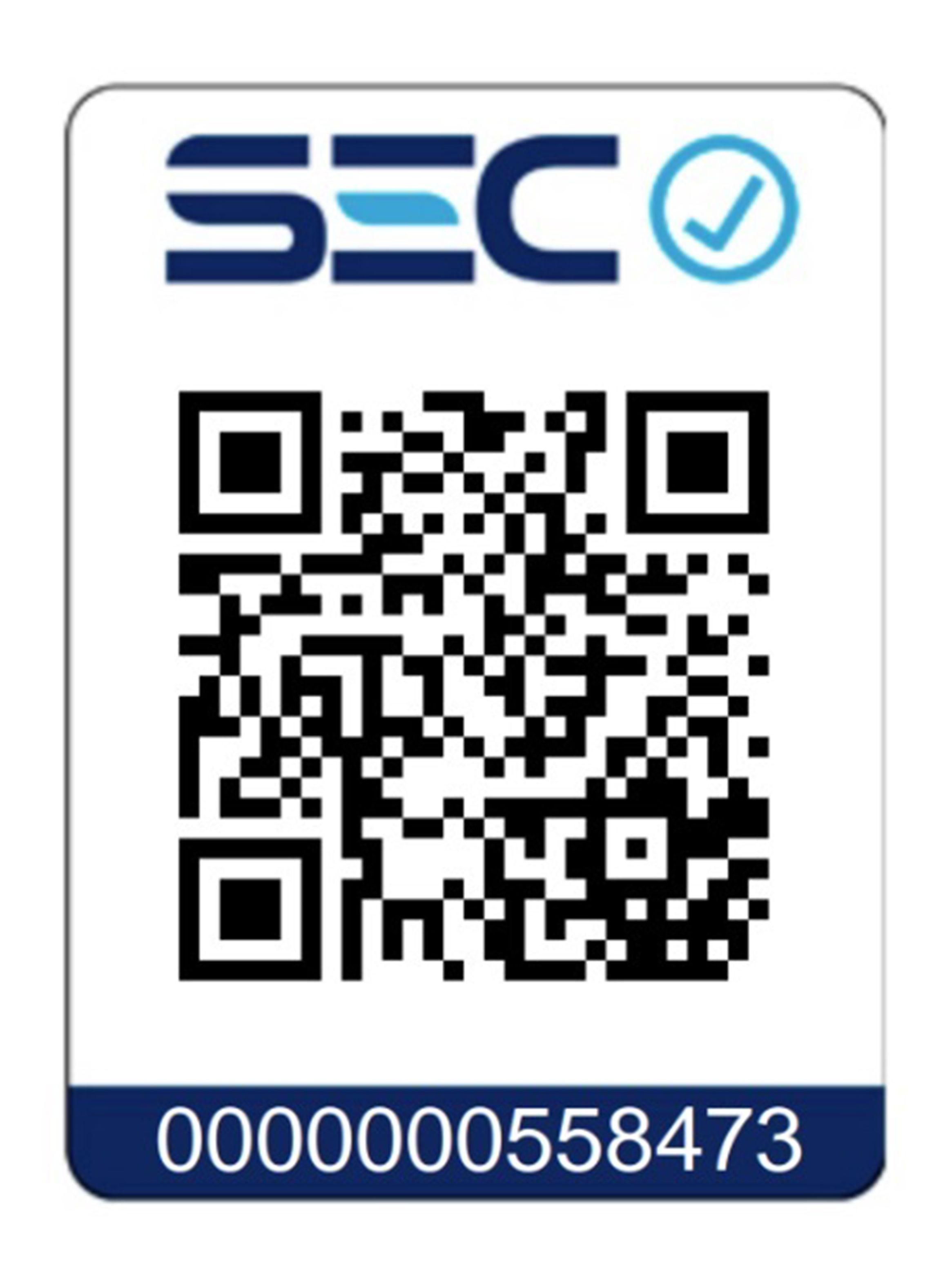 Licuadora Personal GoMax 590 ml Verde-7