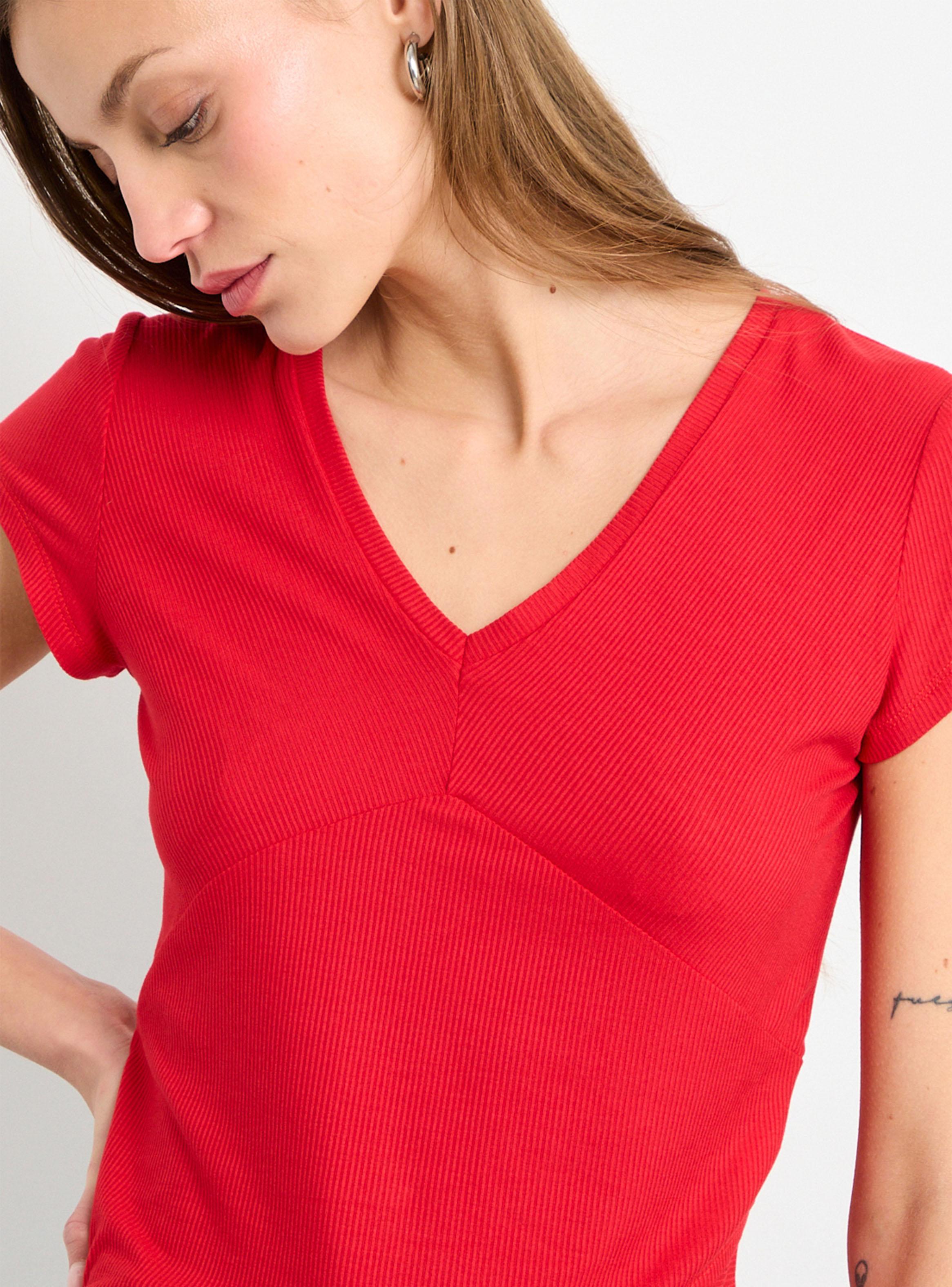 Polera Lisa de Cuello V-2