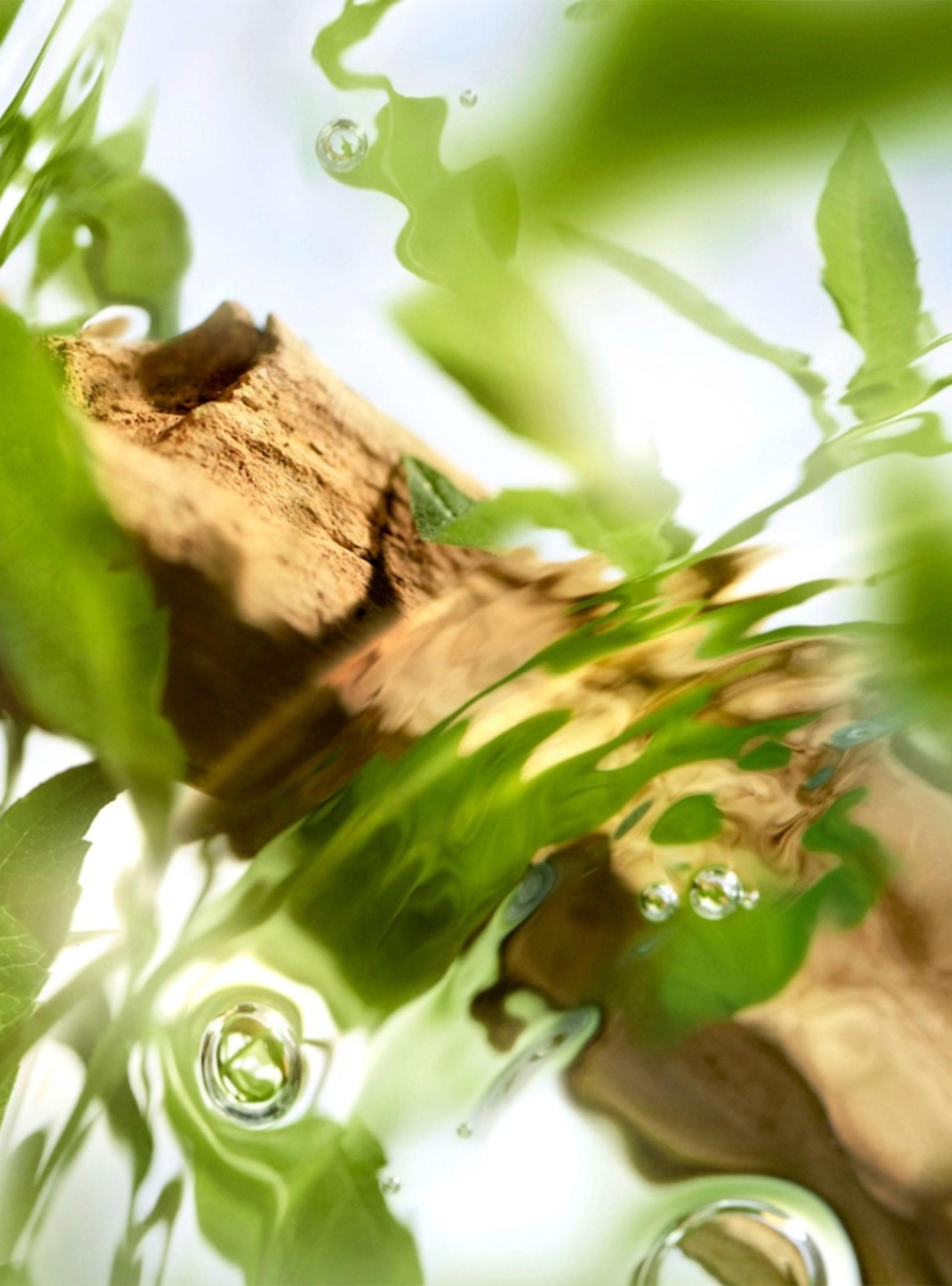 Set Perfume Ôff Now EDT Mujer 100ml + Ôver The Top EDT 10ml + Ô Zenith EDT 10ml-2