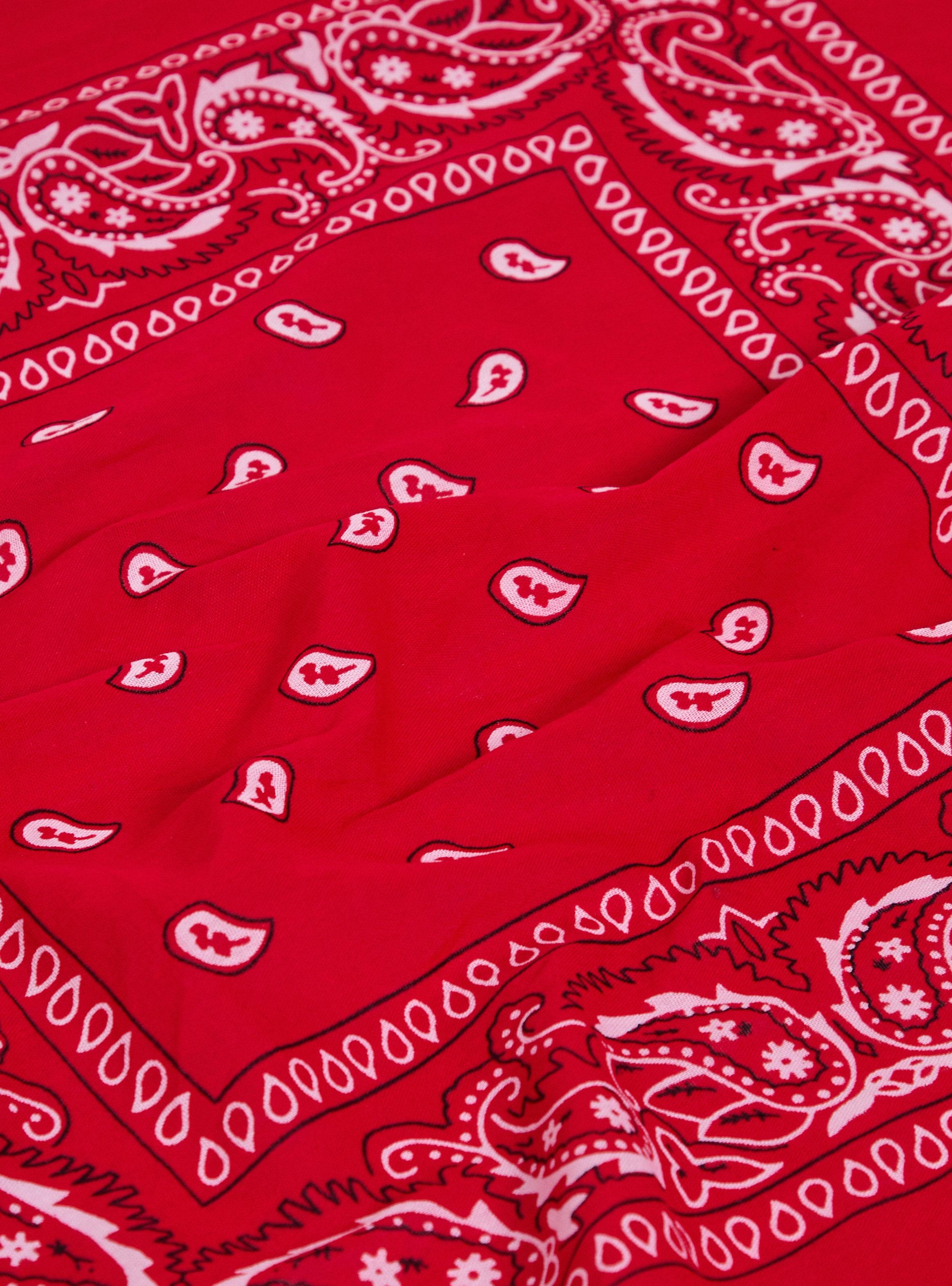 Pañuelo Estampado Paisley-4