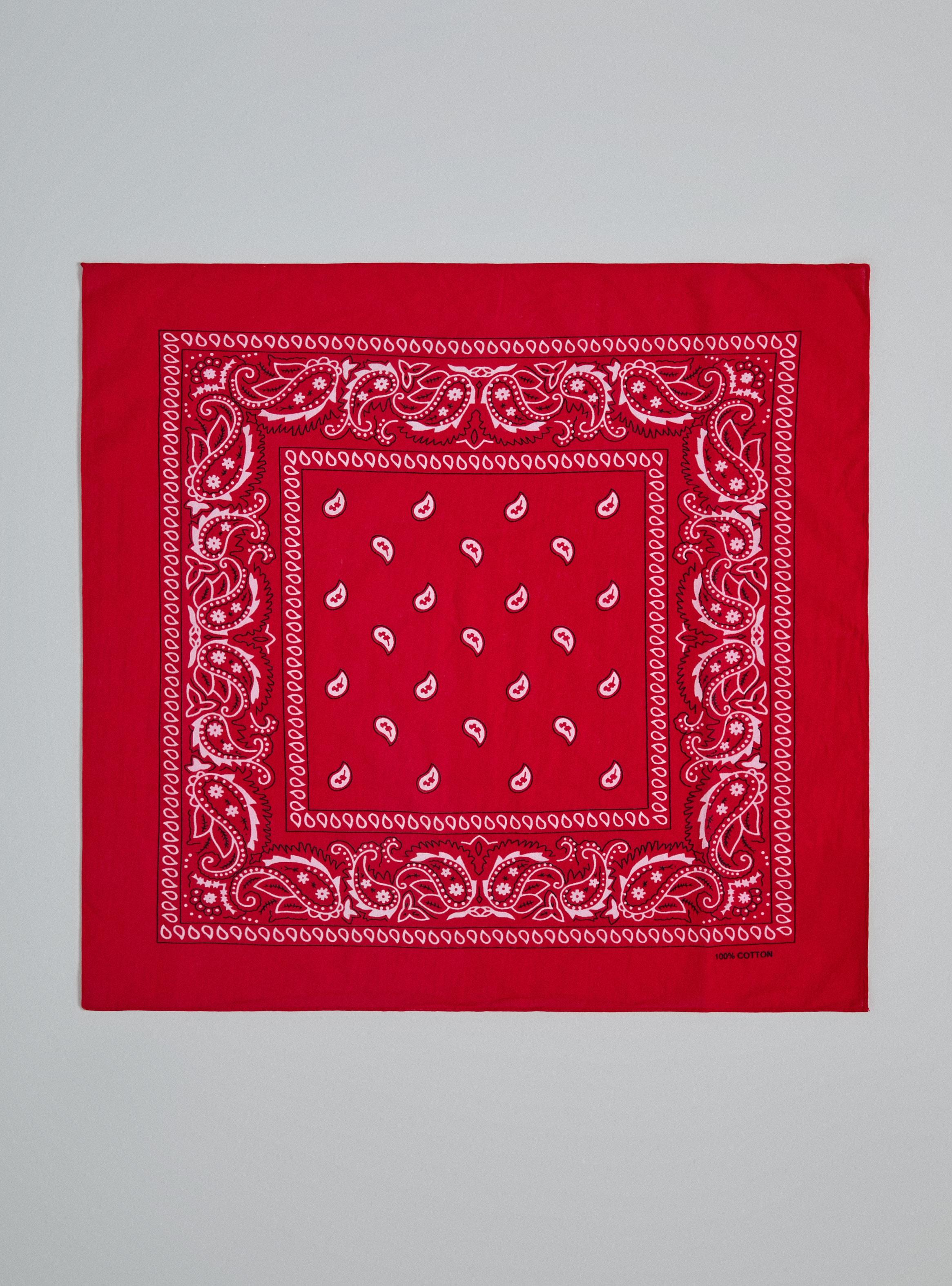 Pañuelo Estampado Paisley-3