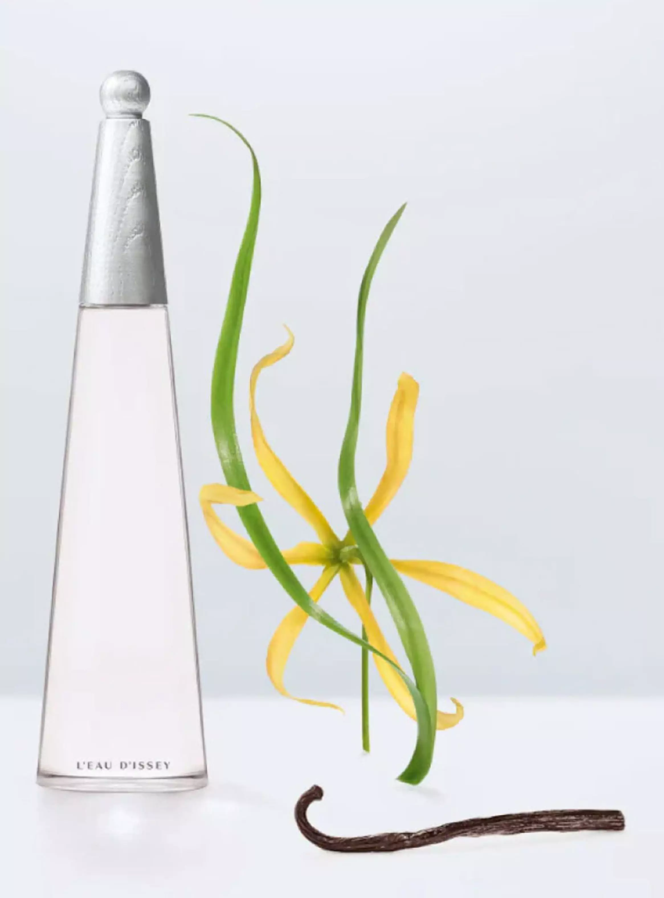 Perfume L'Eau D'Issey EDP Mujer Intense 100 ml-2