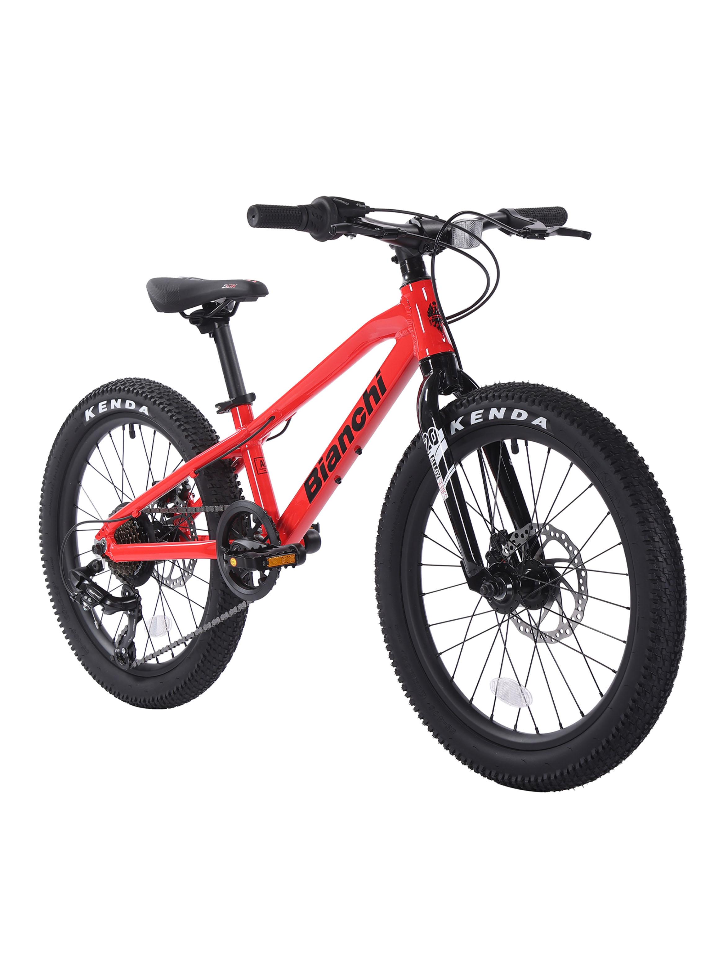 Bicicleta de Niños Alloy Aro 20' ST-1