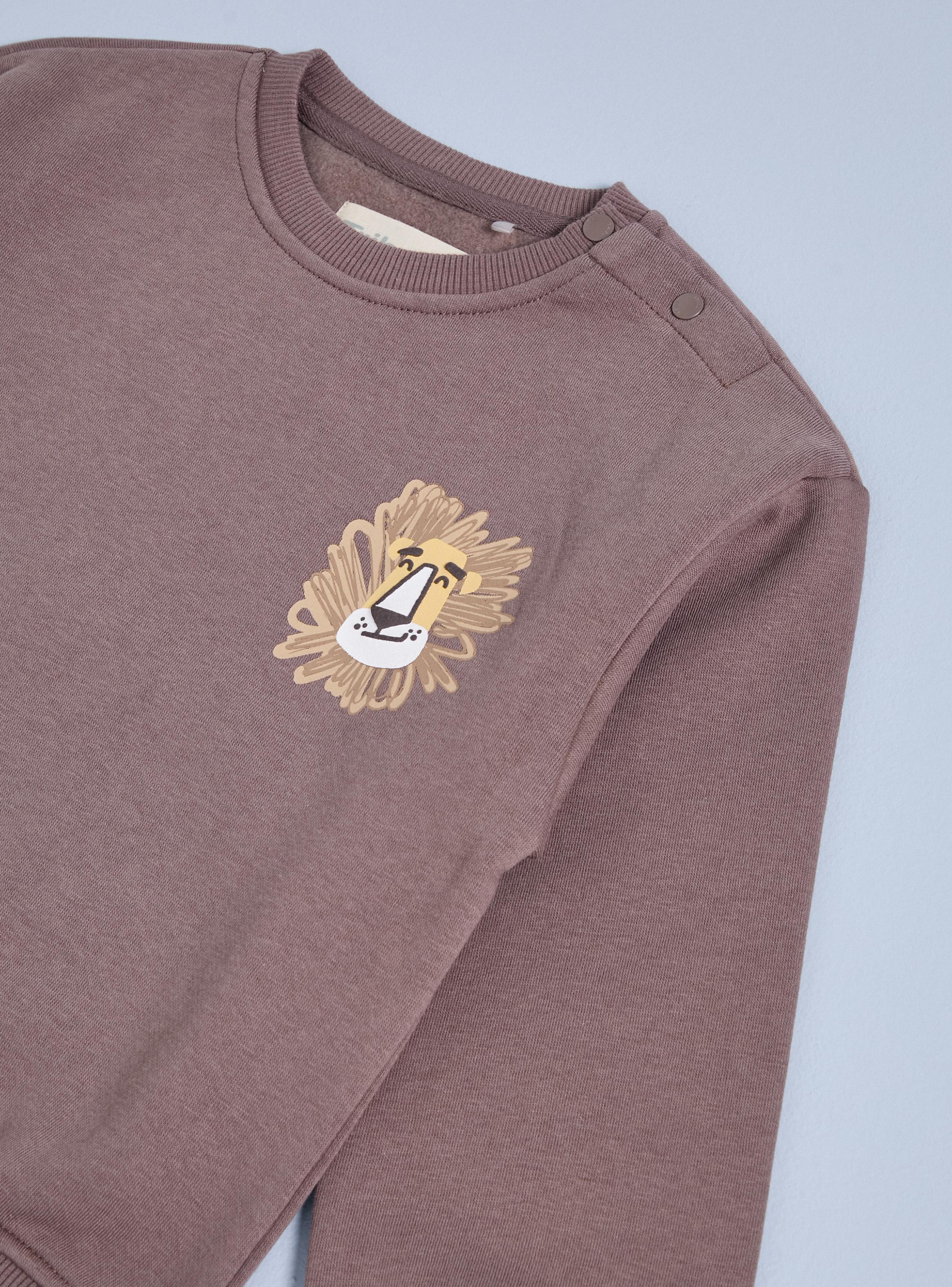 Polerón Color Estampado en la Espalda-3