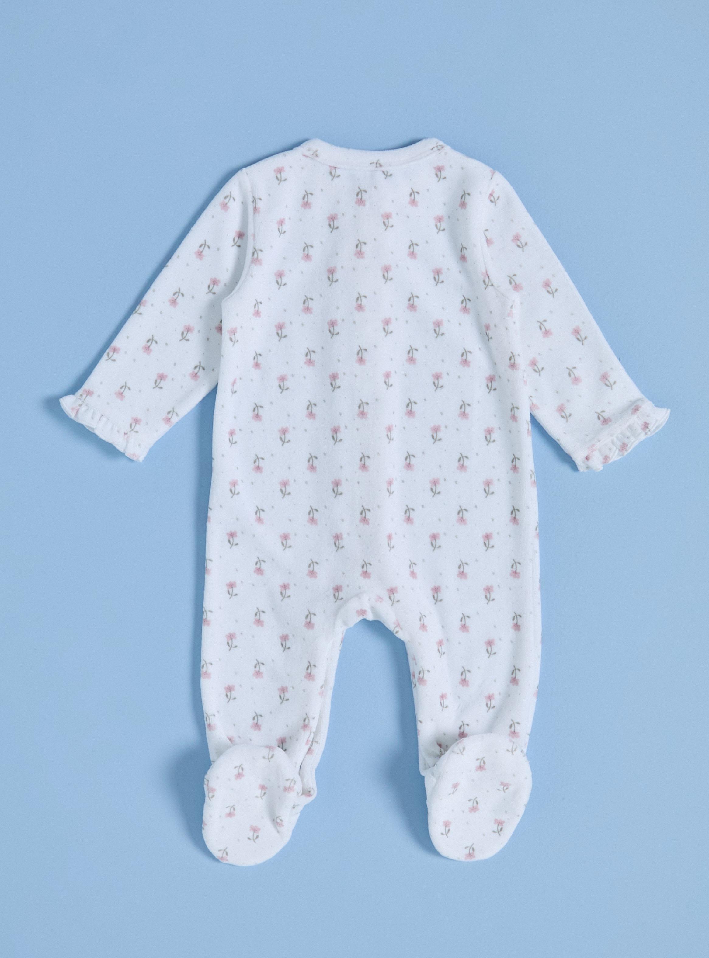 Osito con Vuelo en Frente-2