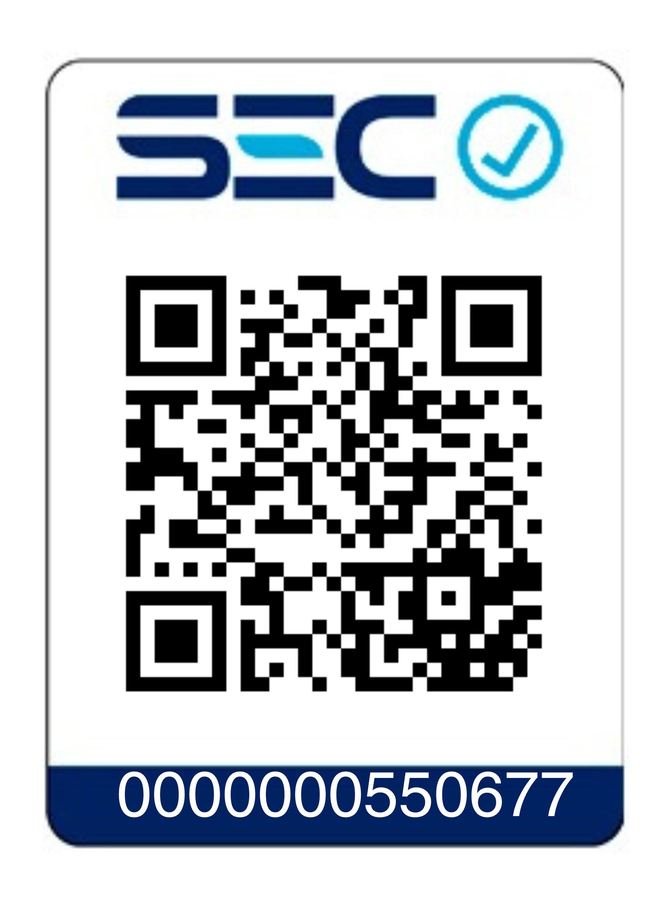 Secador de Pelo Multistyler VH-014 Morado-11