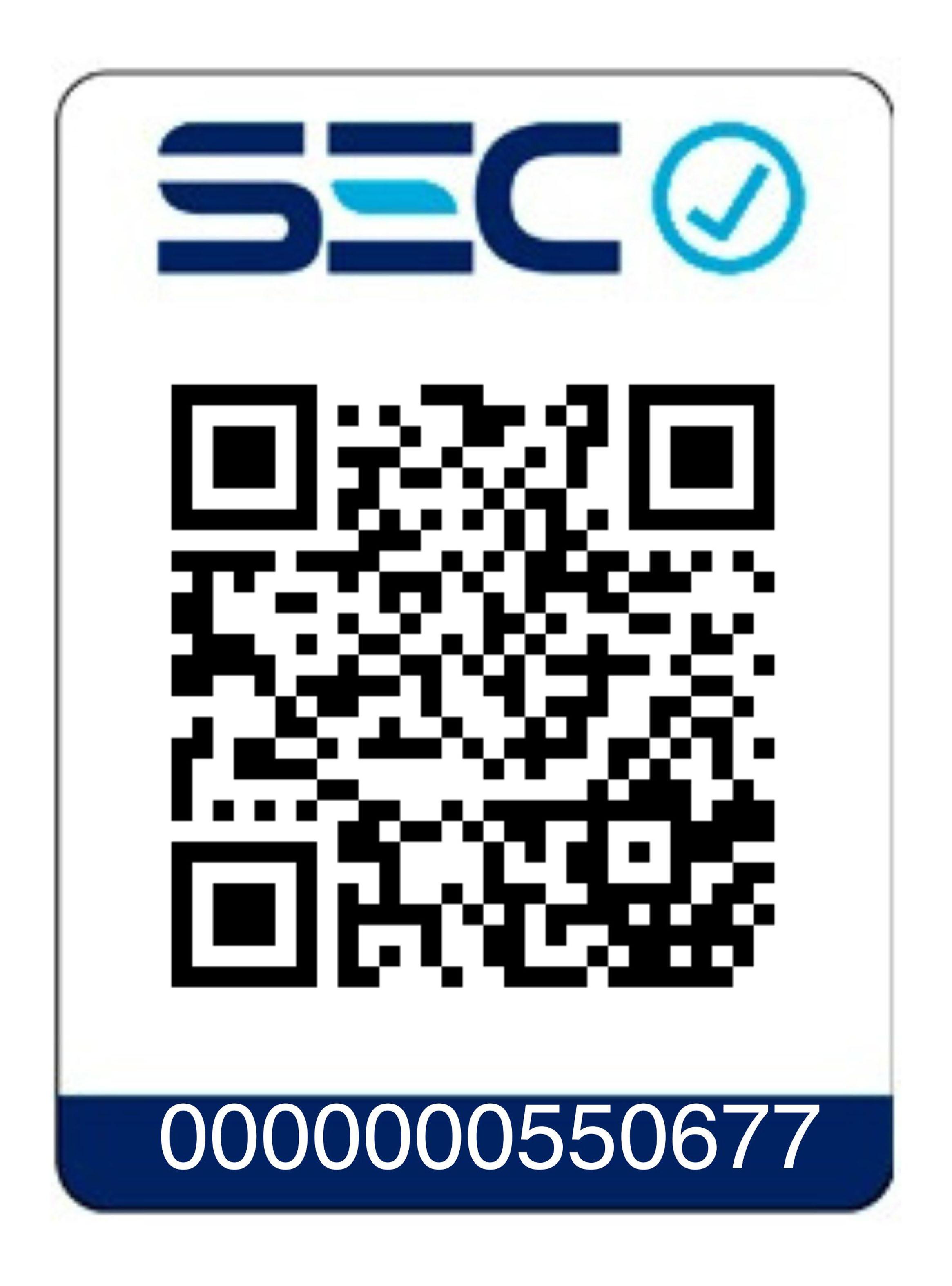 Secador de Pelo Multistyler VH-014 Morado-11