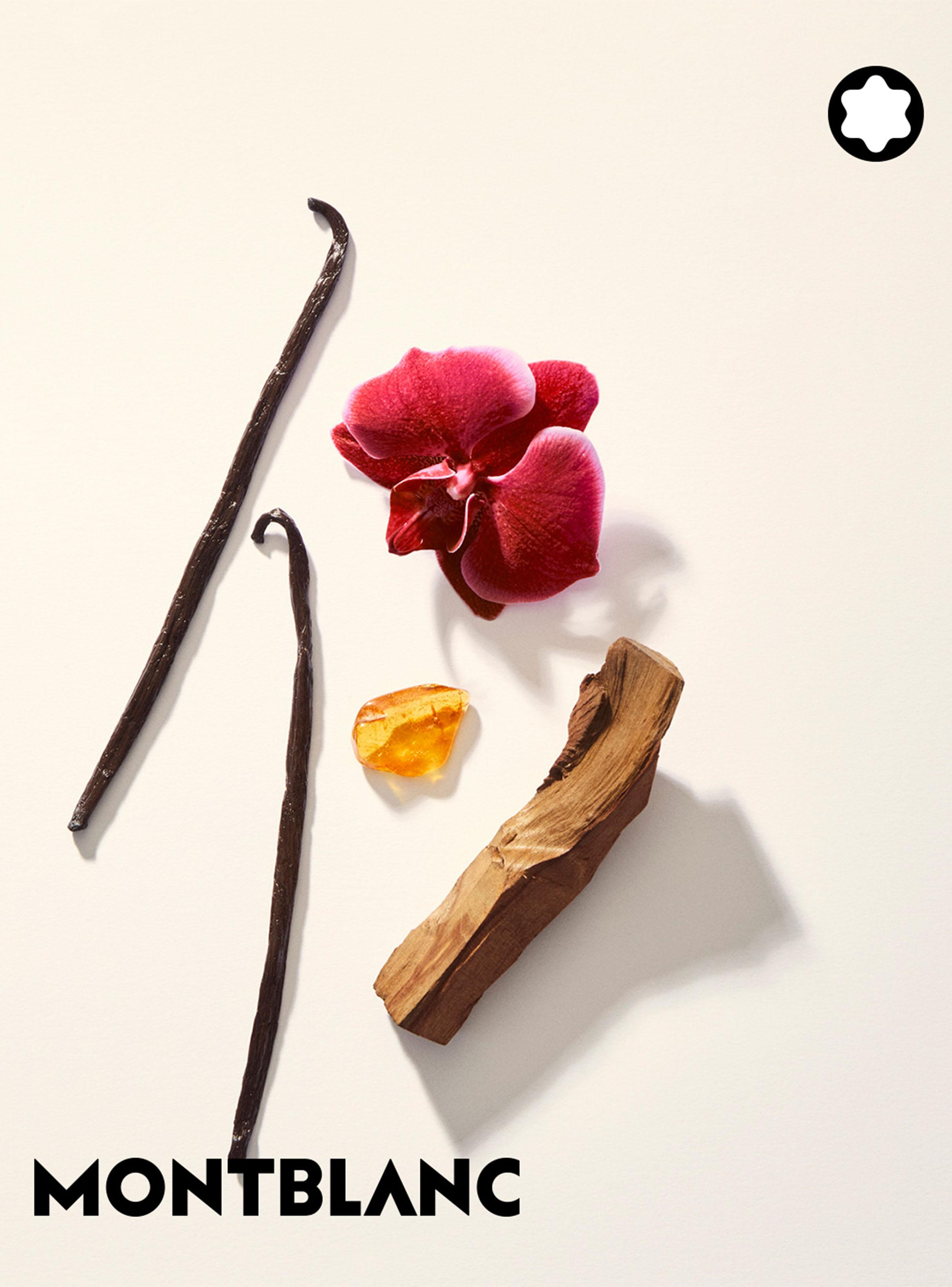 Perfume Signature Elix EDP Mujer 30 ml Edición Limitada-2