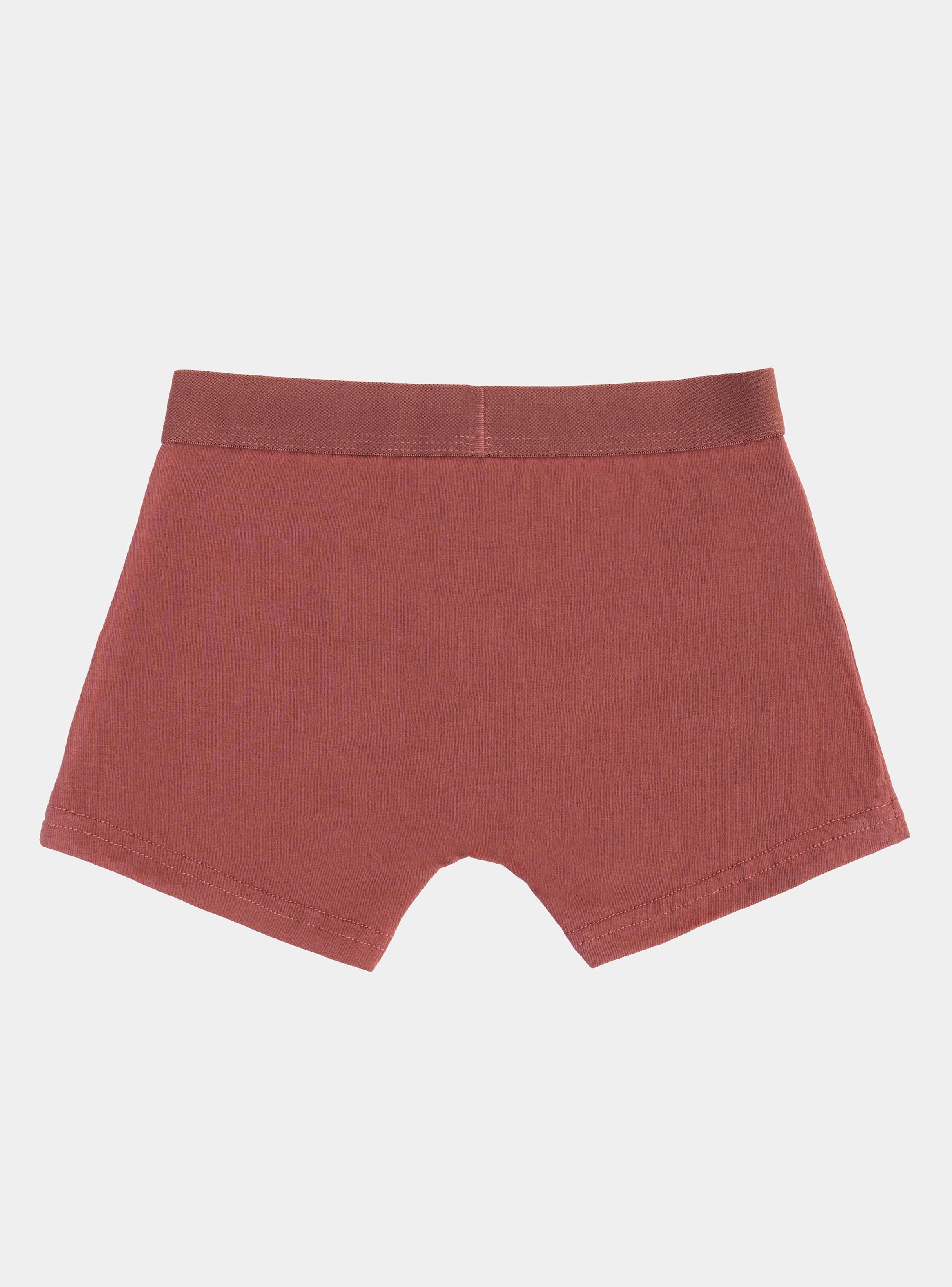 Pack 3 Bóxer Color y Diseño de Algodón-3