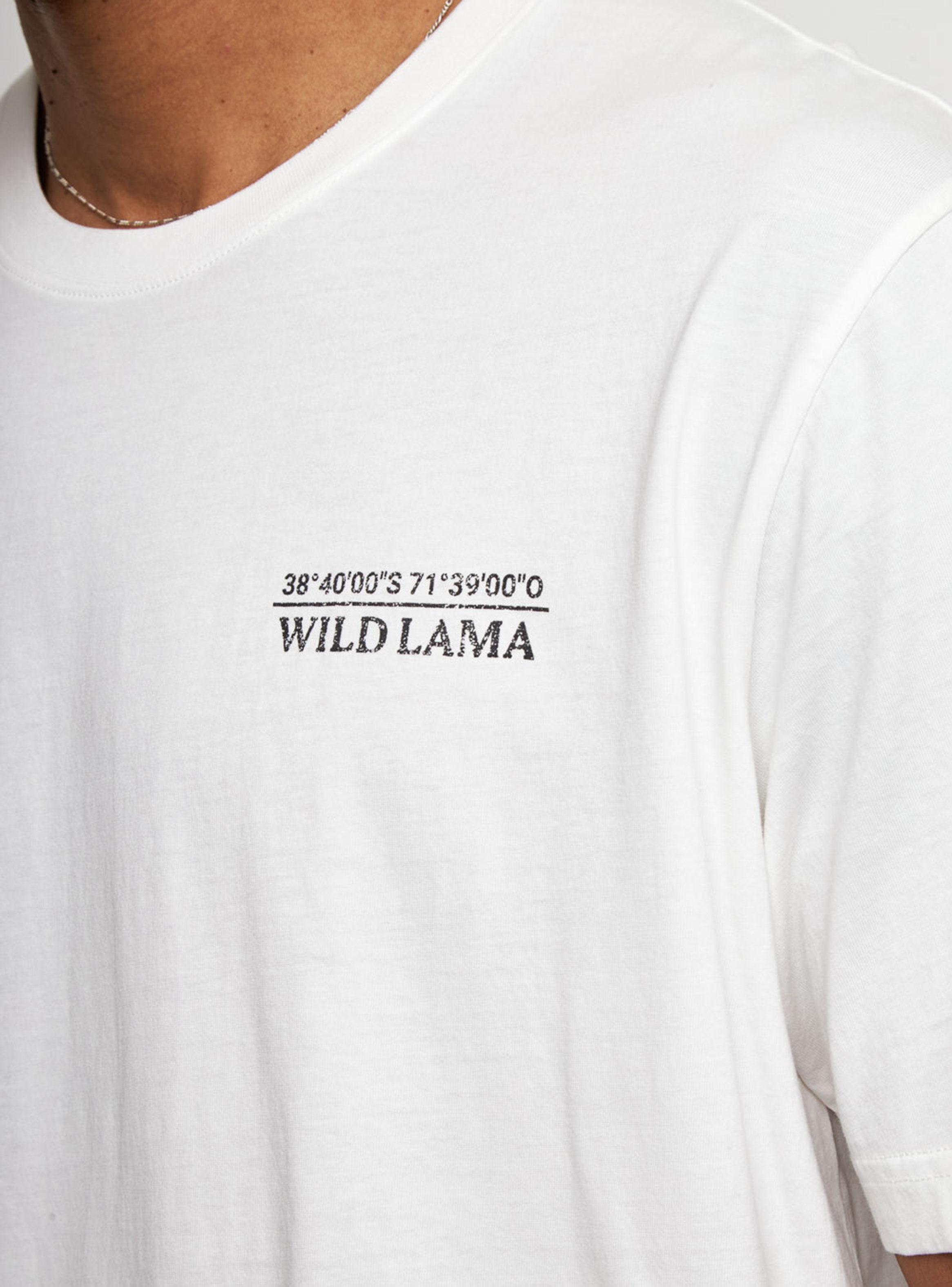 Polera Rolan Orgánica Conguillio-3