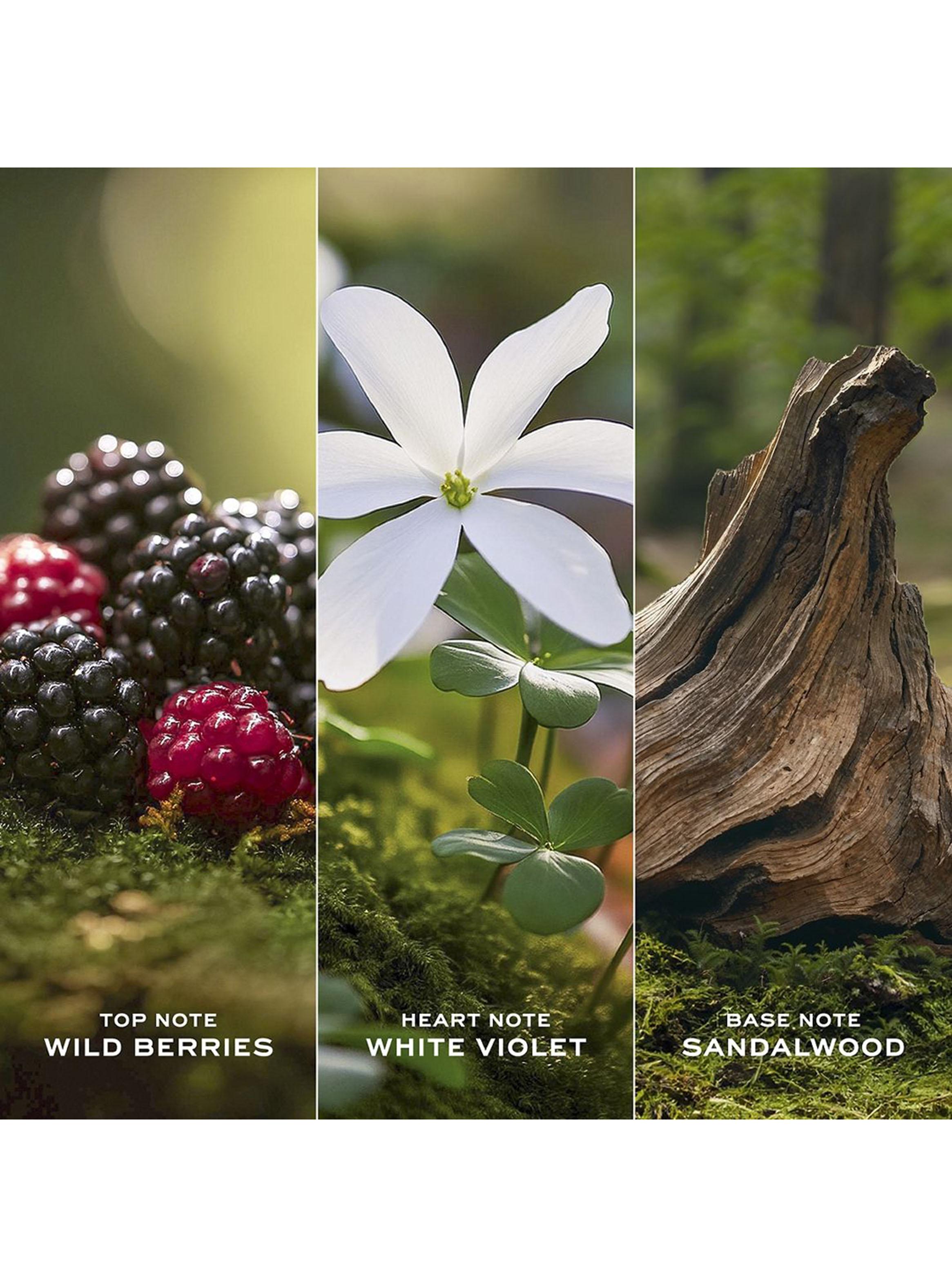 Set Perfume Daisy EDT Mujer 100 ml + Body Lotion 75 ml + Pen Spray 10 ml-3