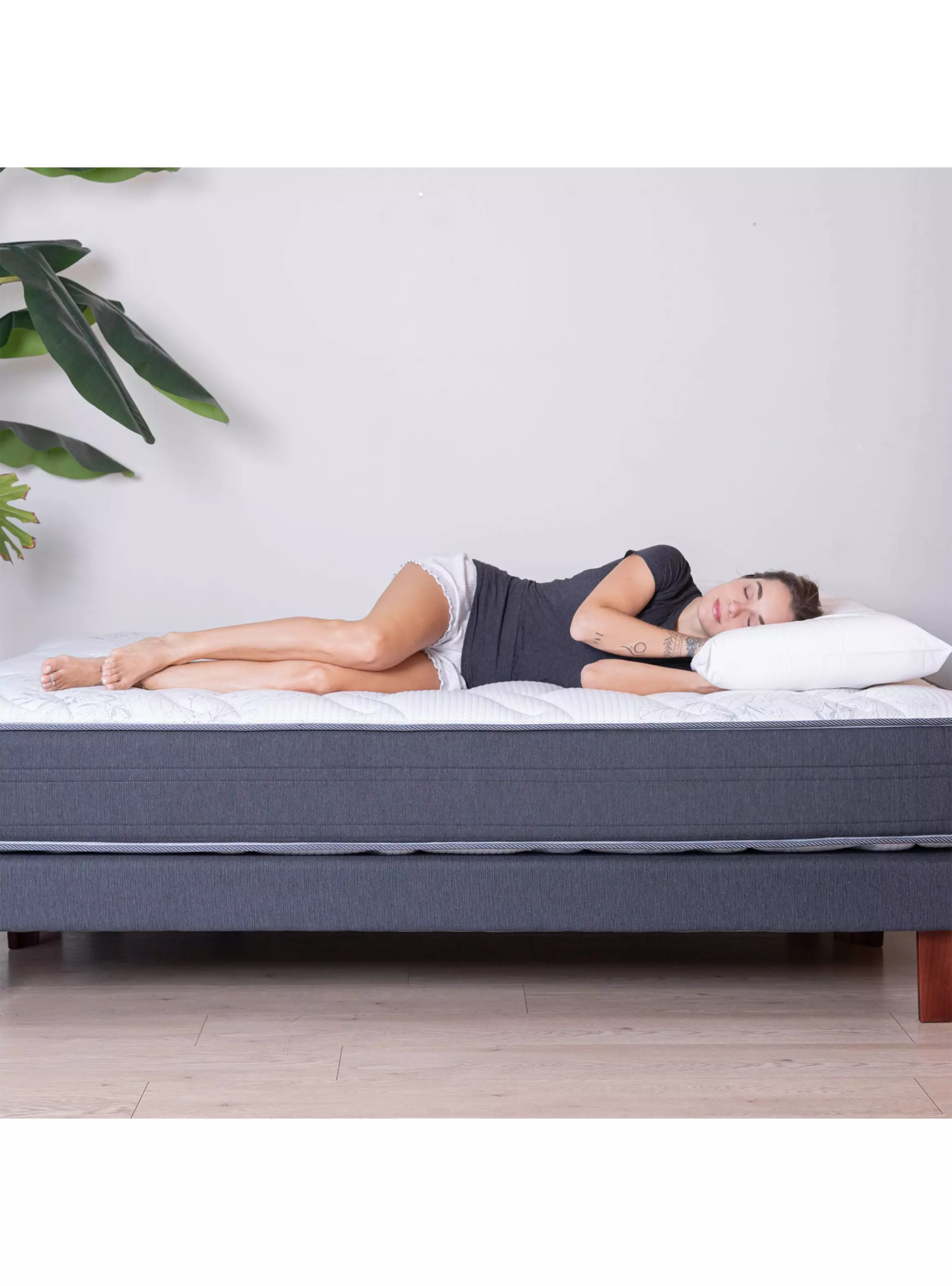 Cama Europea Europedic Dual 2 Plazas Box Base Dividida-5