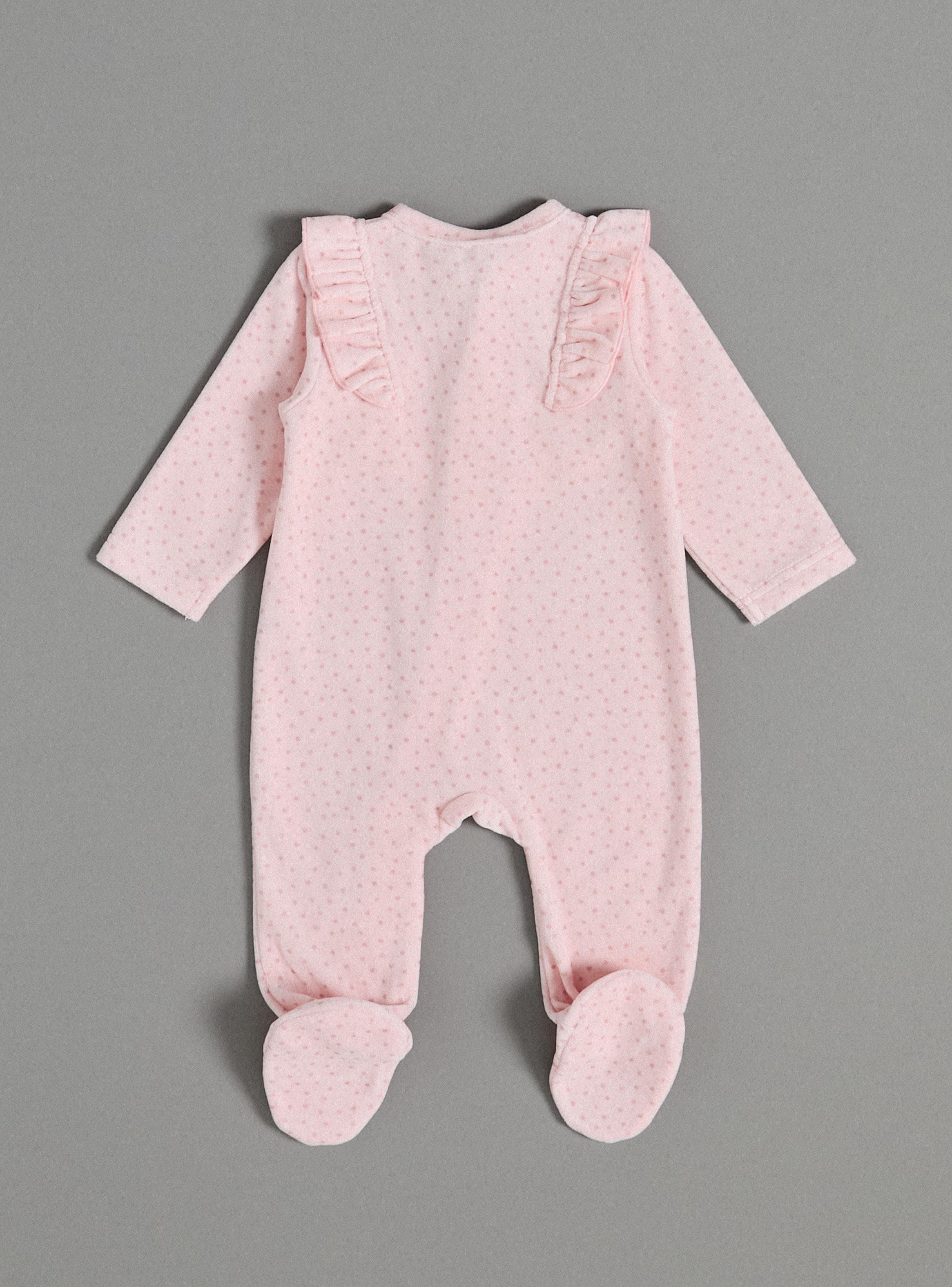 Enterito con Vuelos al Frente-2