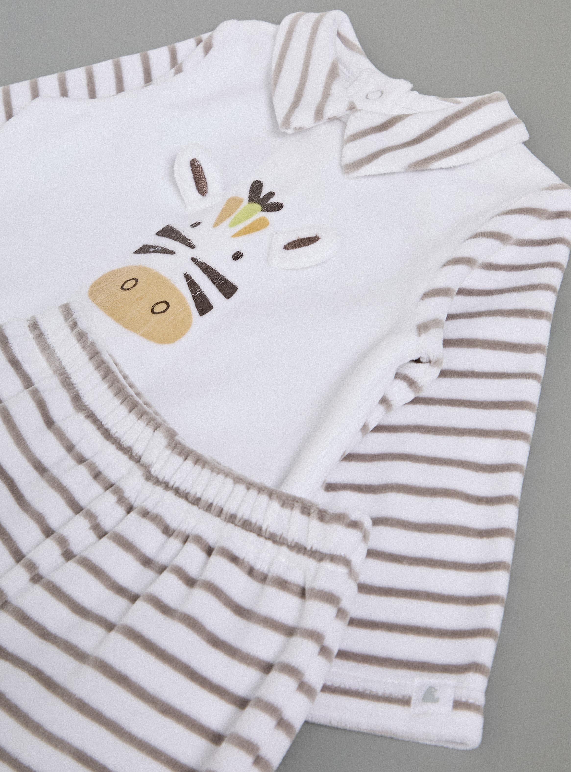 Conjunto con Rayas y Aplicación de Cebra-3