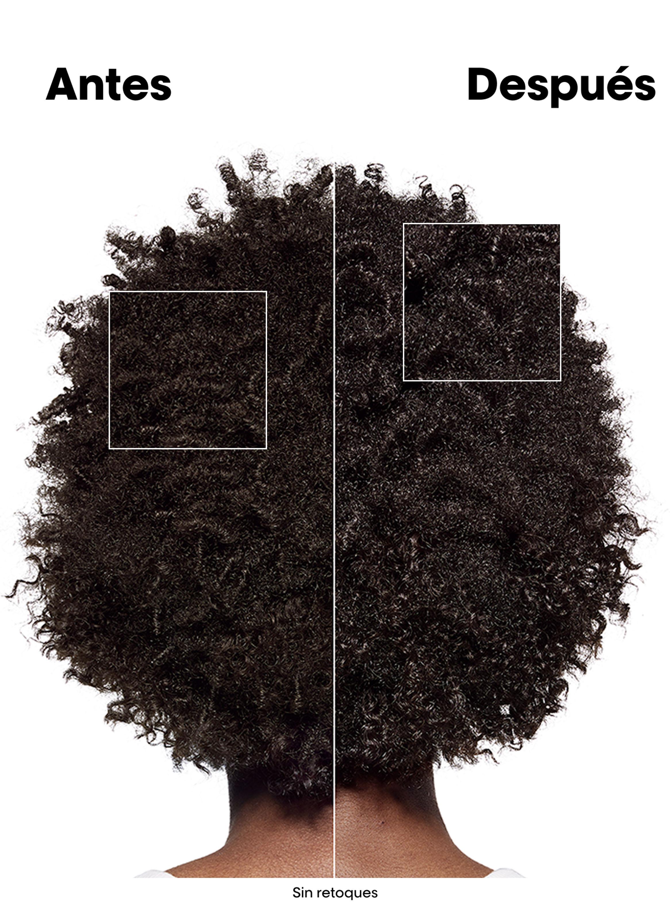 Set Profesional Reparación Molecular Absolut Repair Molecular-3