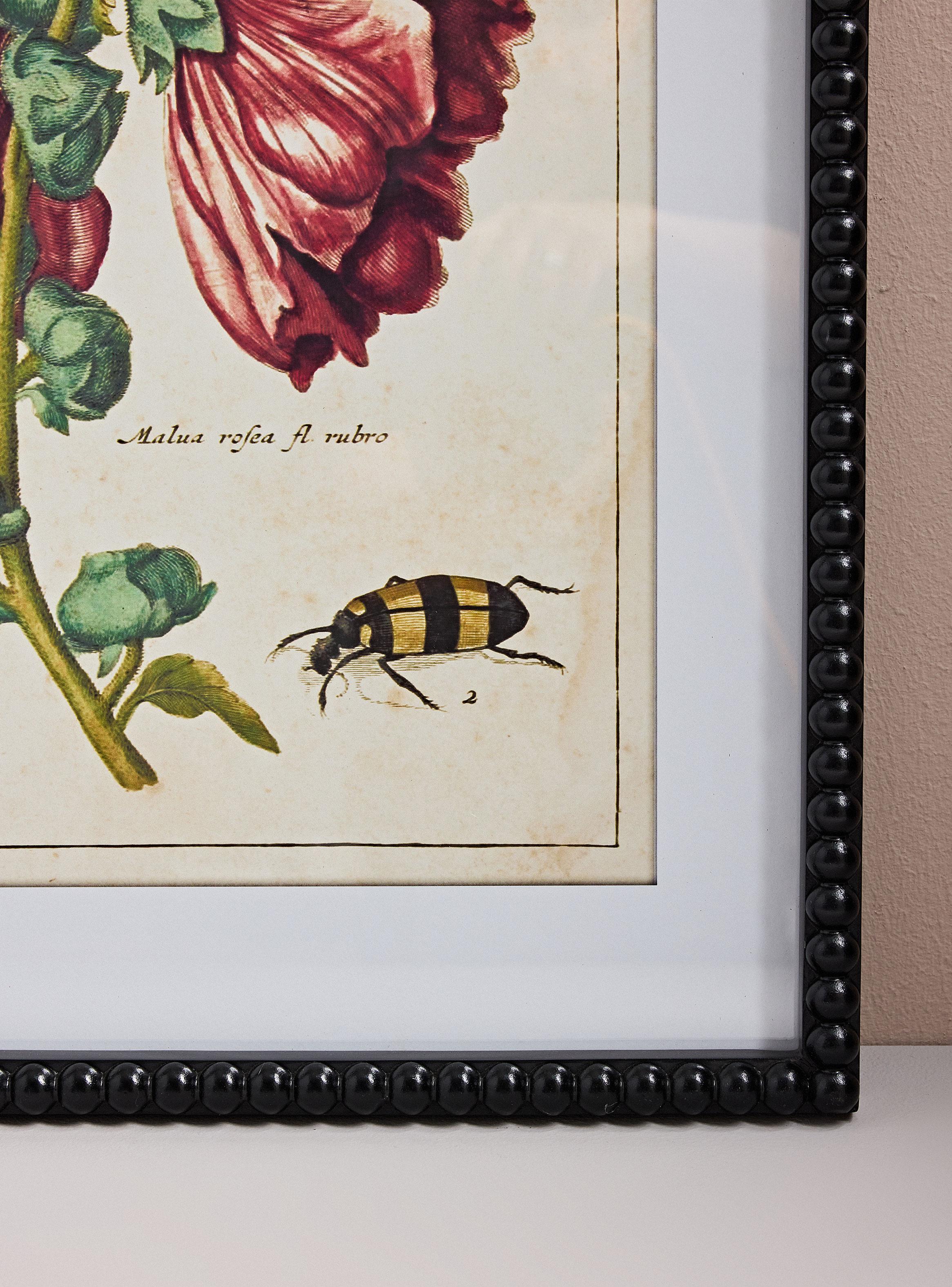 Cuadro Flor Botánica 50x65cm-2